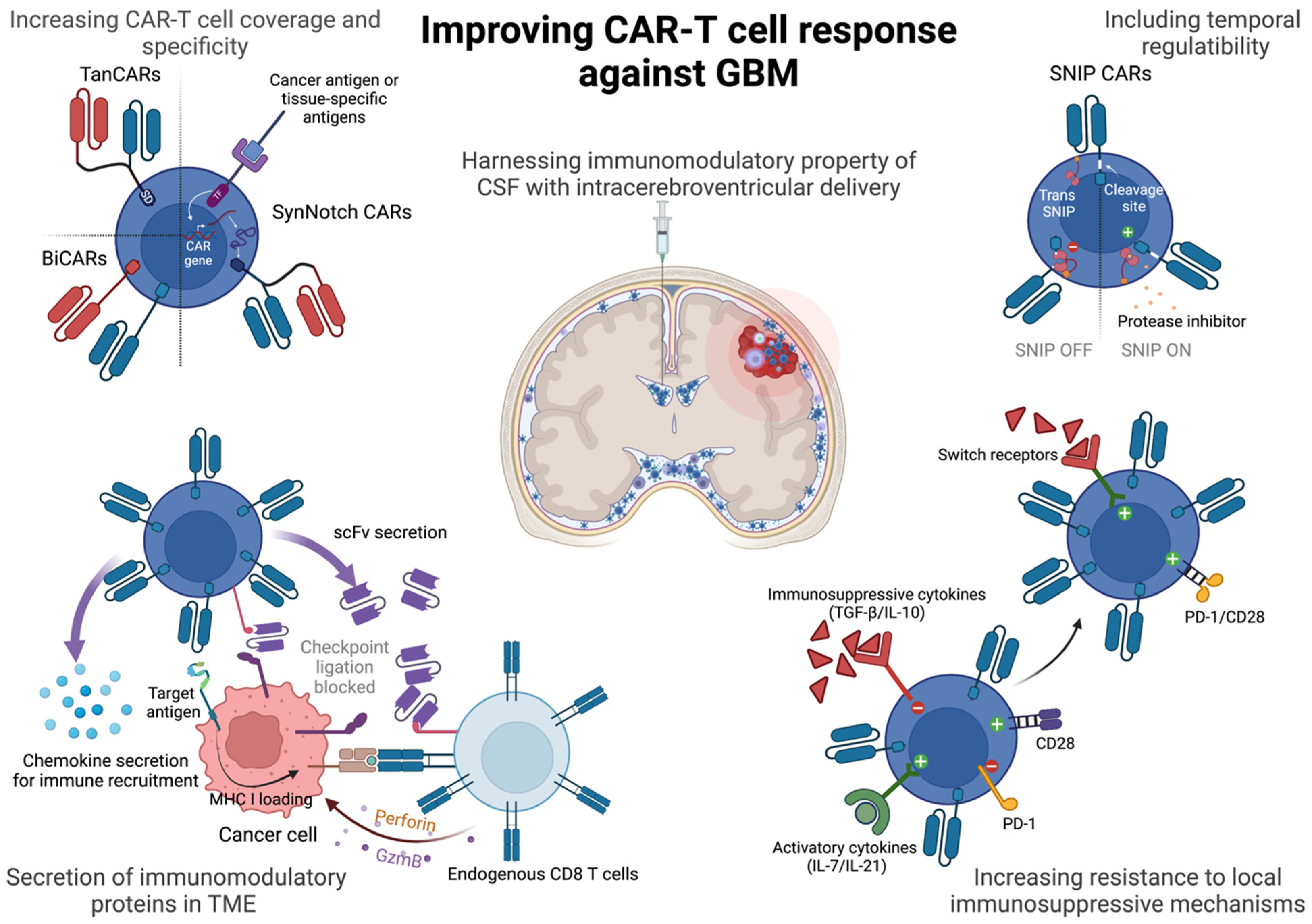 Cancers 15 01249 g001