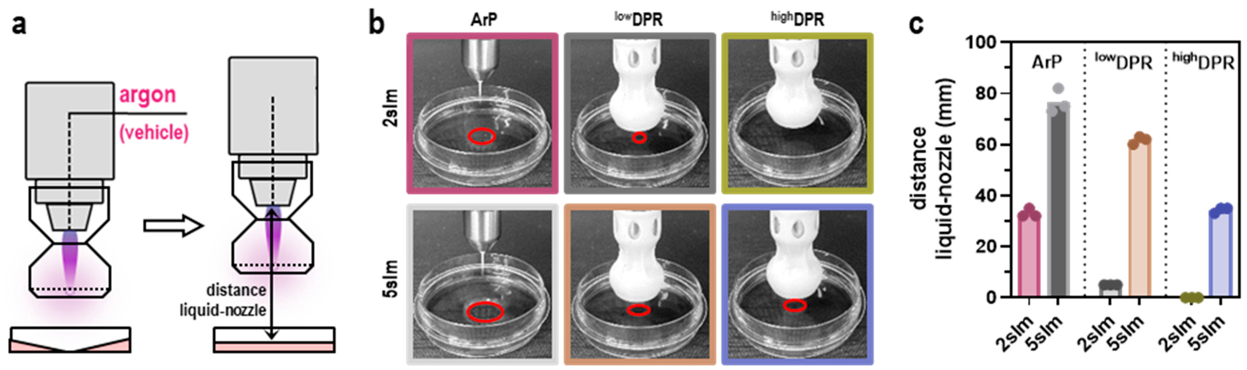 Cancers 15 01254 g002