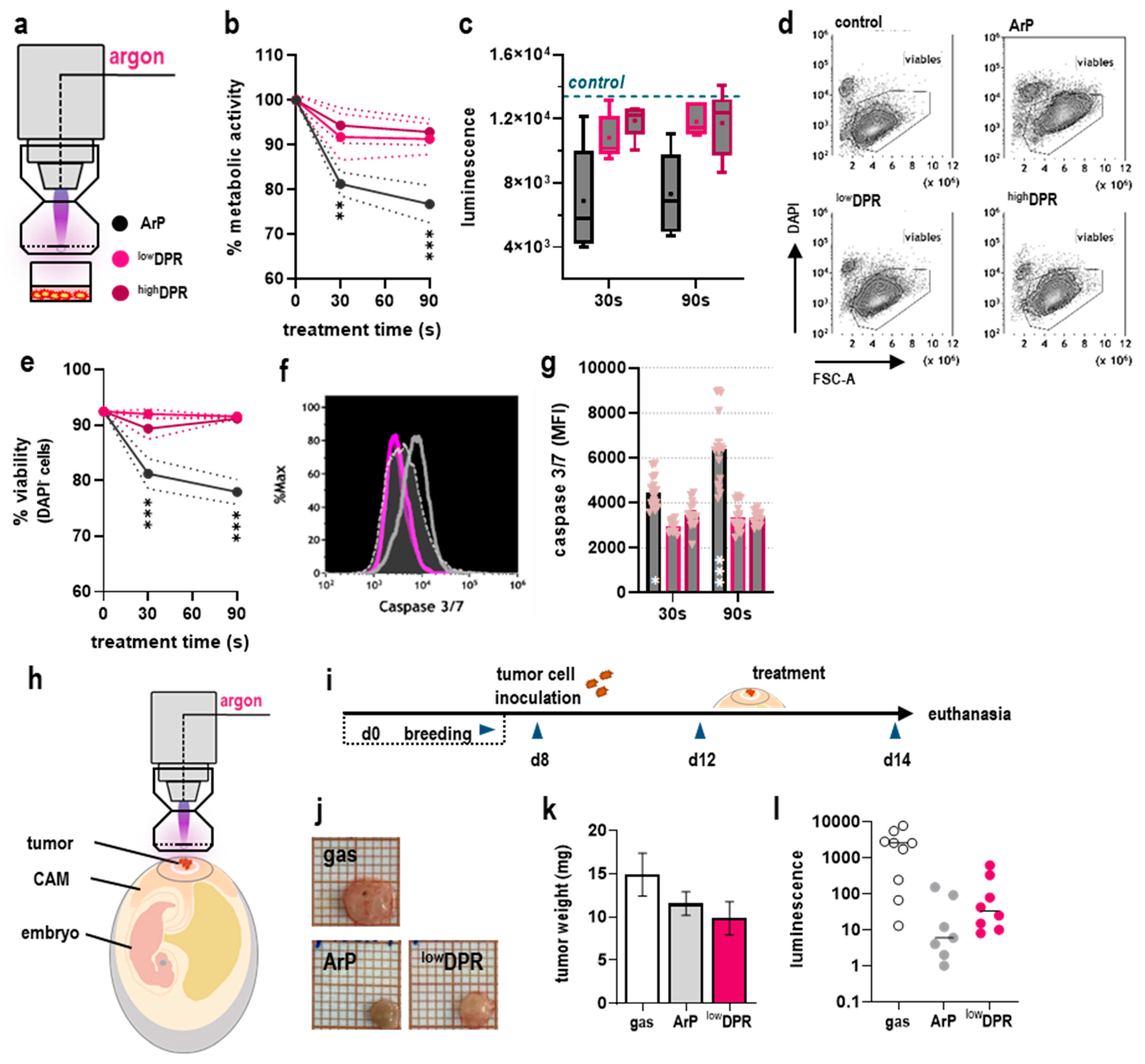 Cancers 15 01254 g004