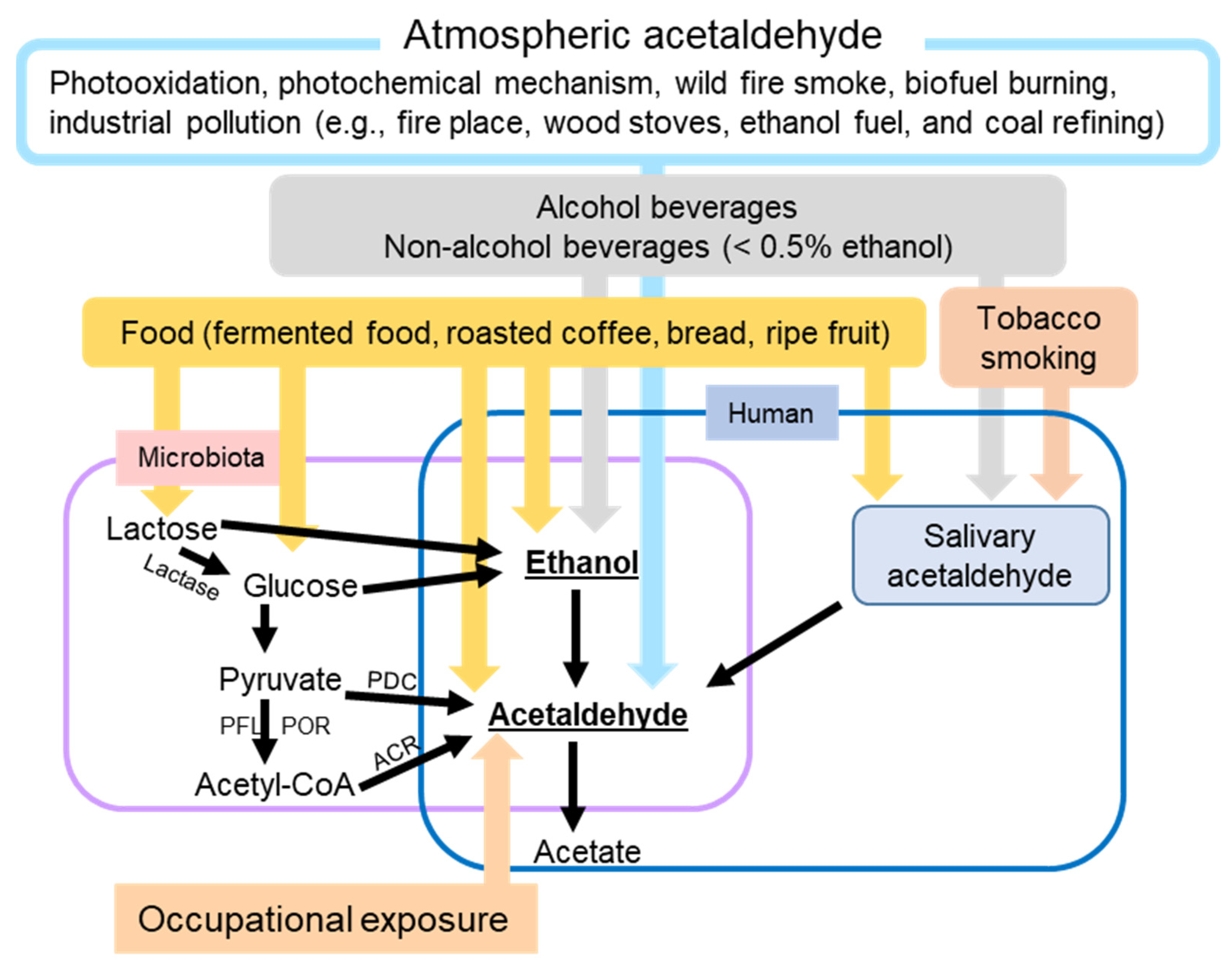 Cancers 15 01258 g001