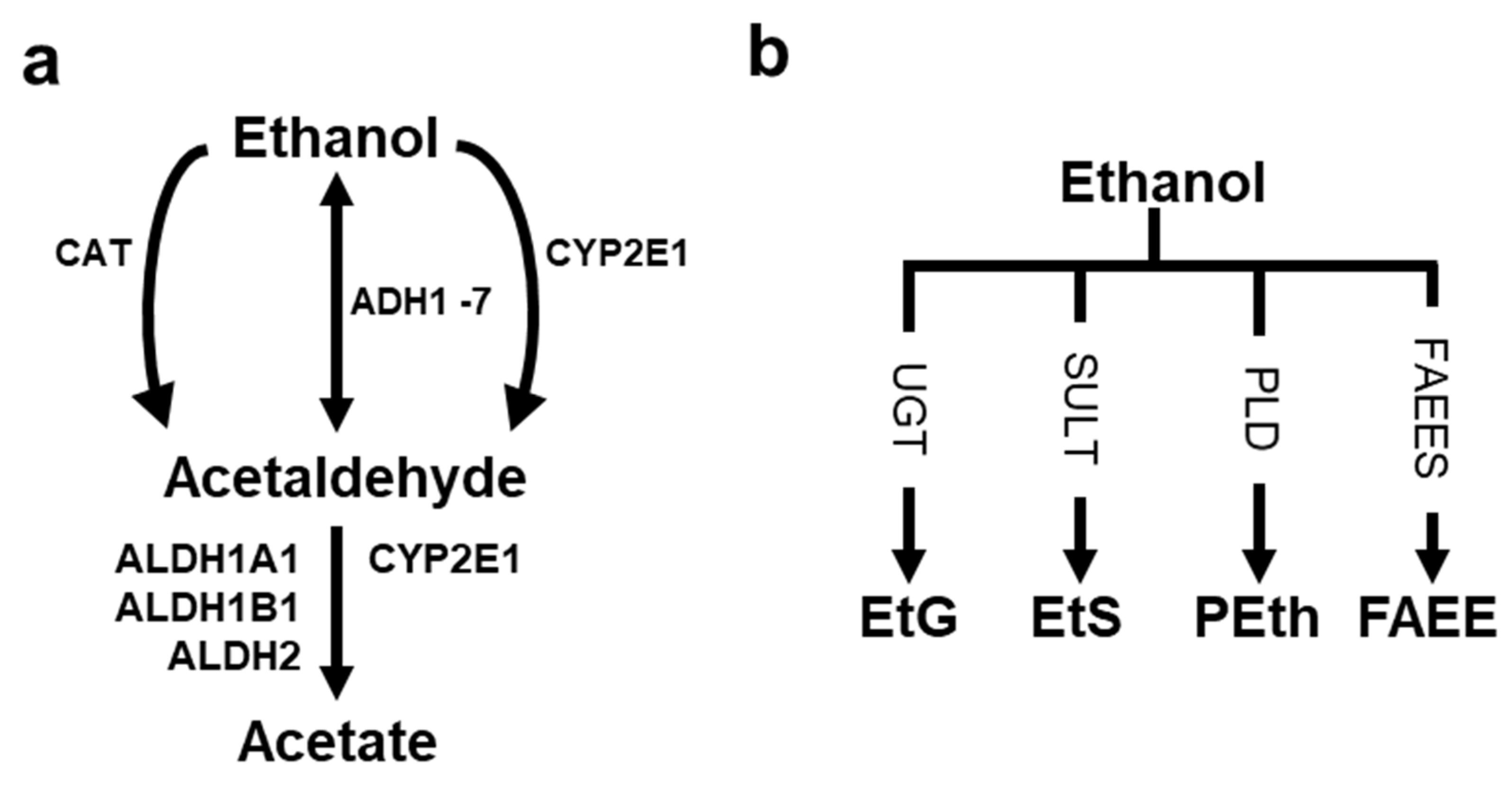 Cancers 15 01258 g002