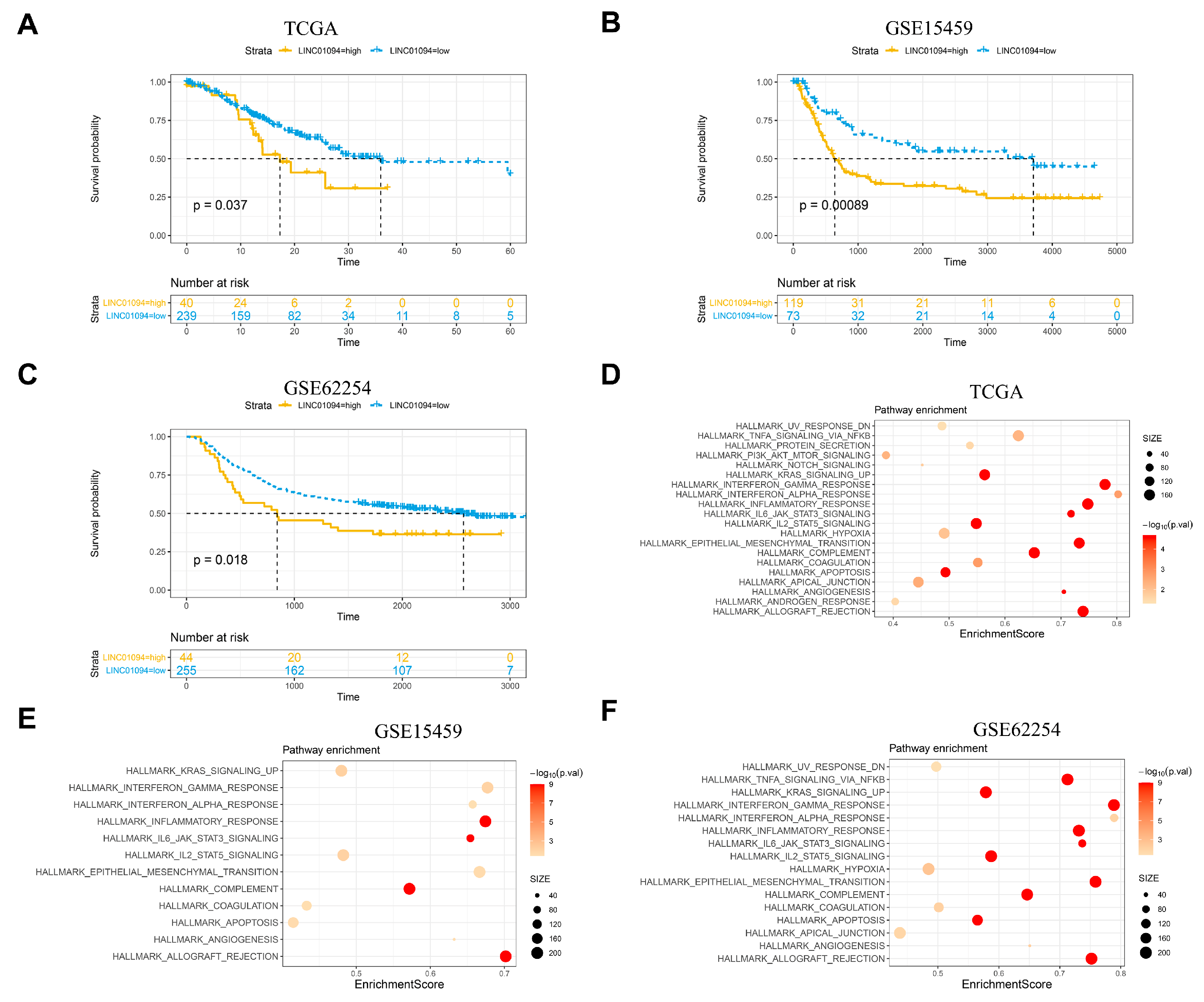 Cancers 15 01261 g003