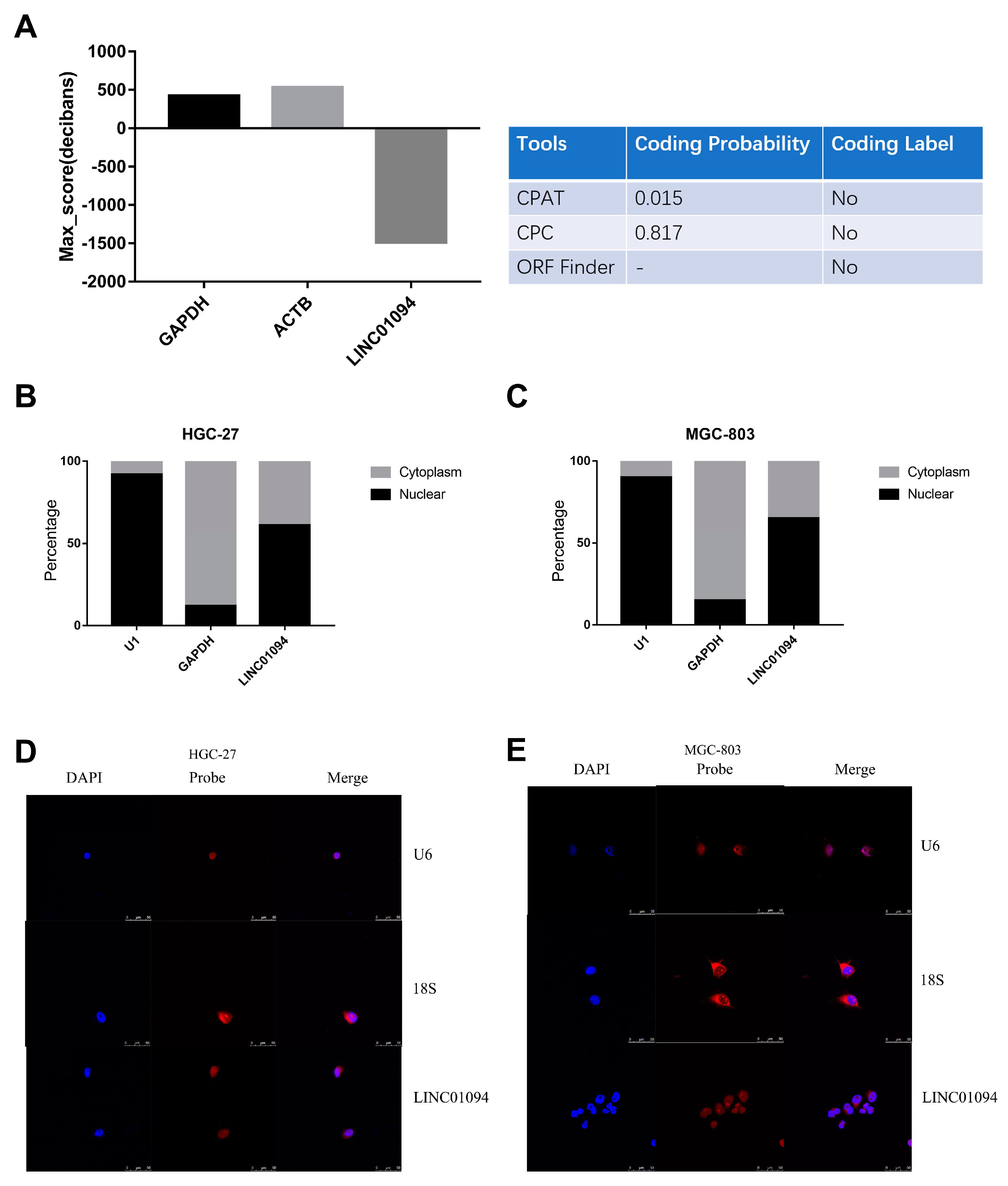 Cancers 15 01261 g005