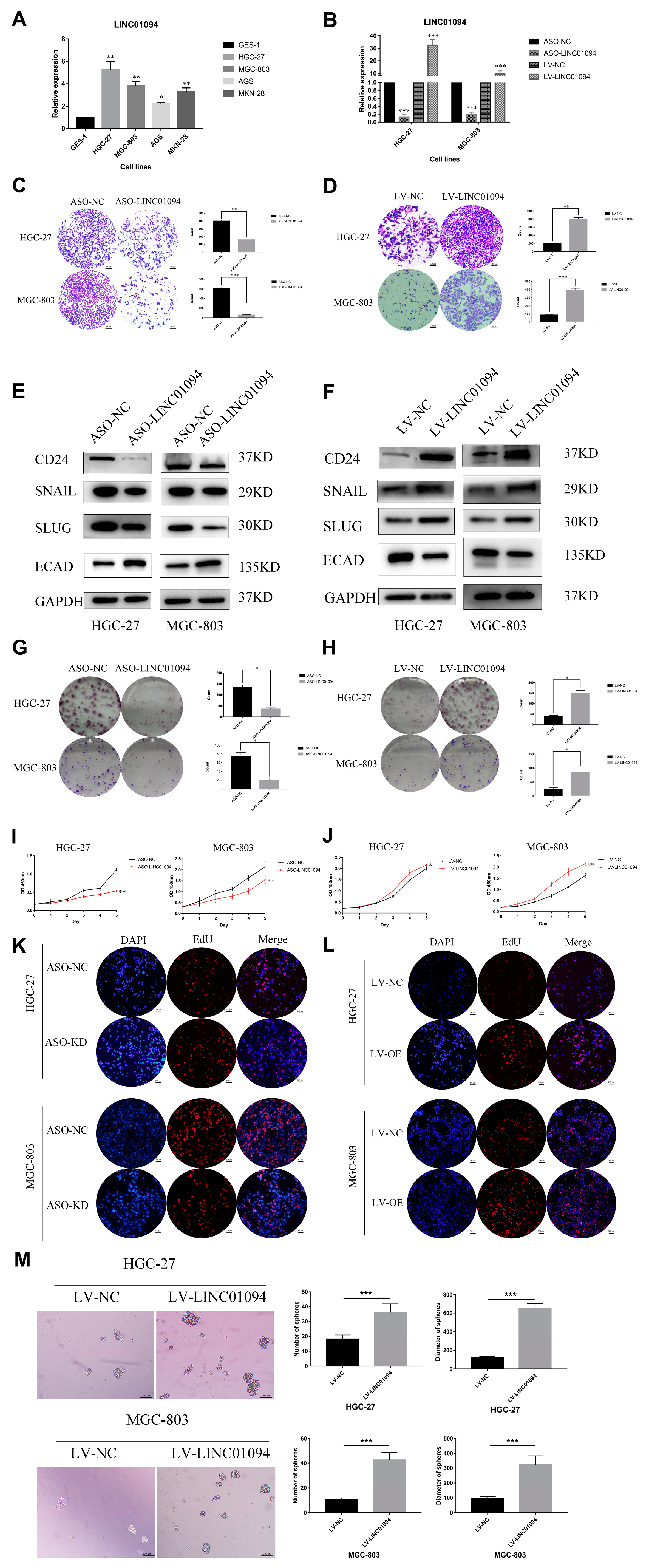 Cancers 15 01261 g006