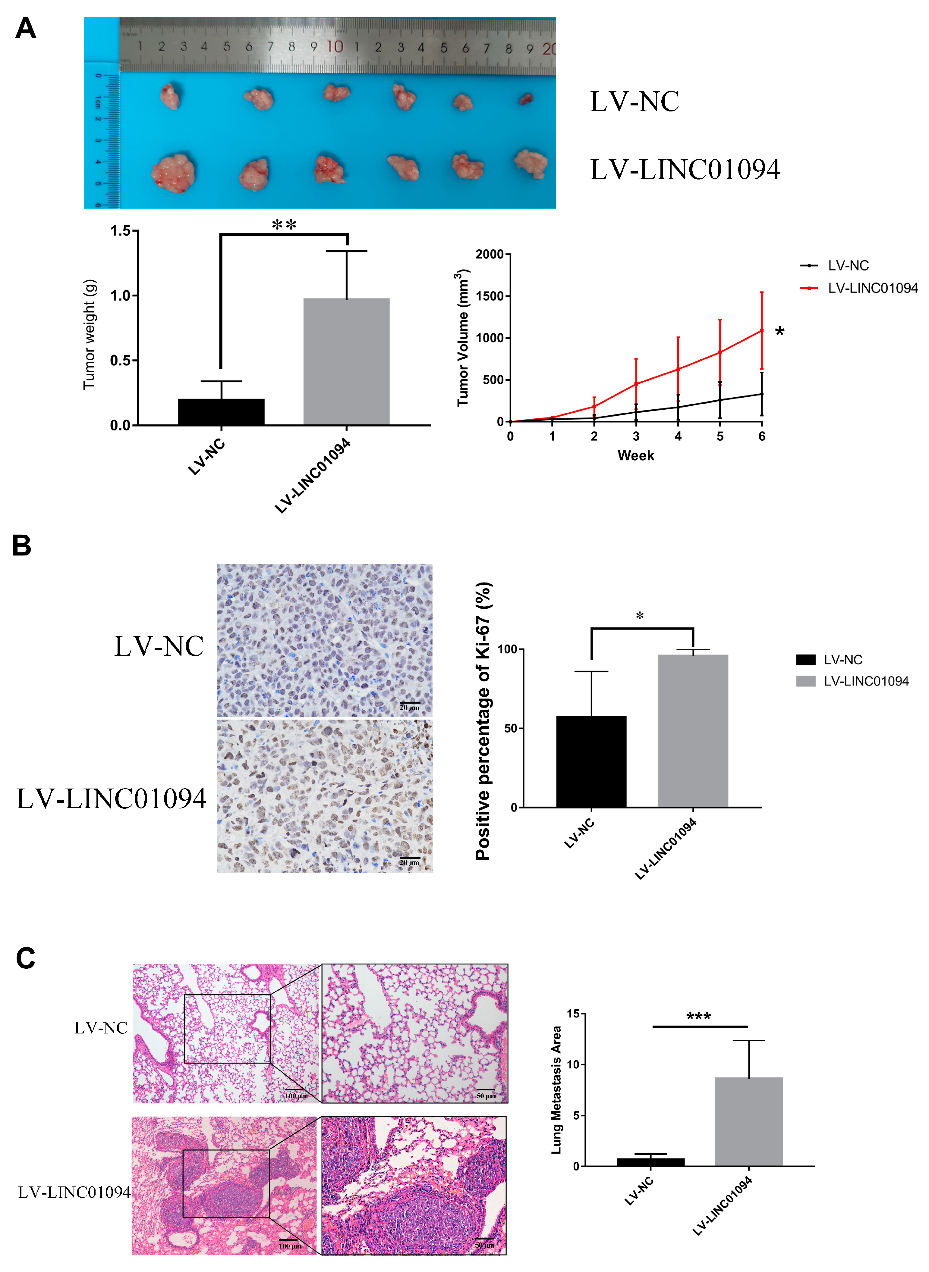 Cancers 15 01261 g007