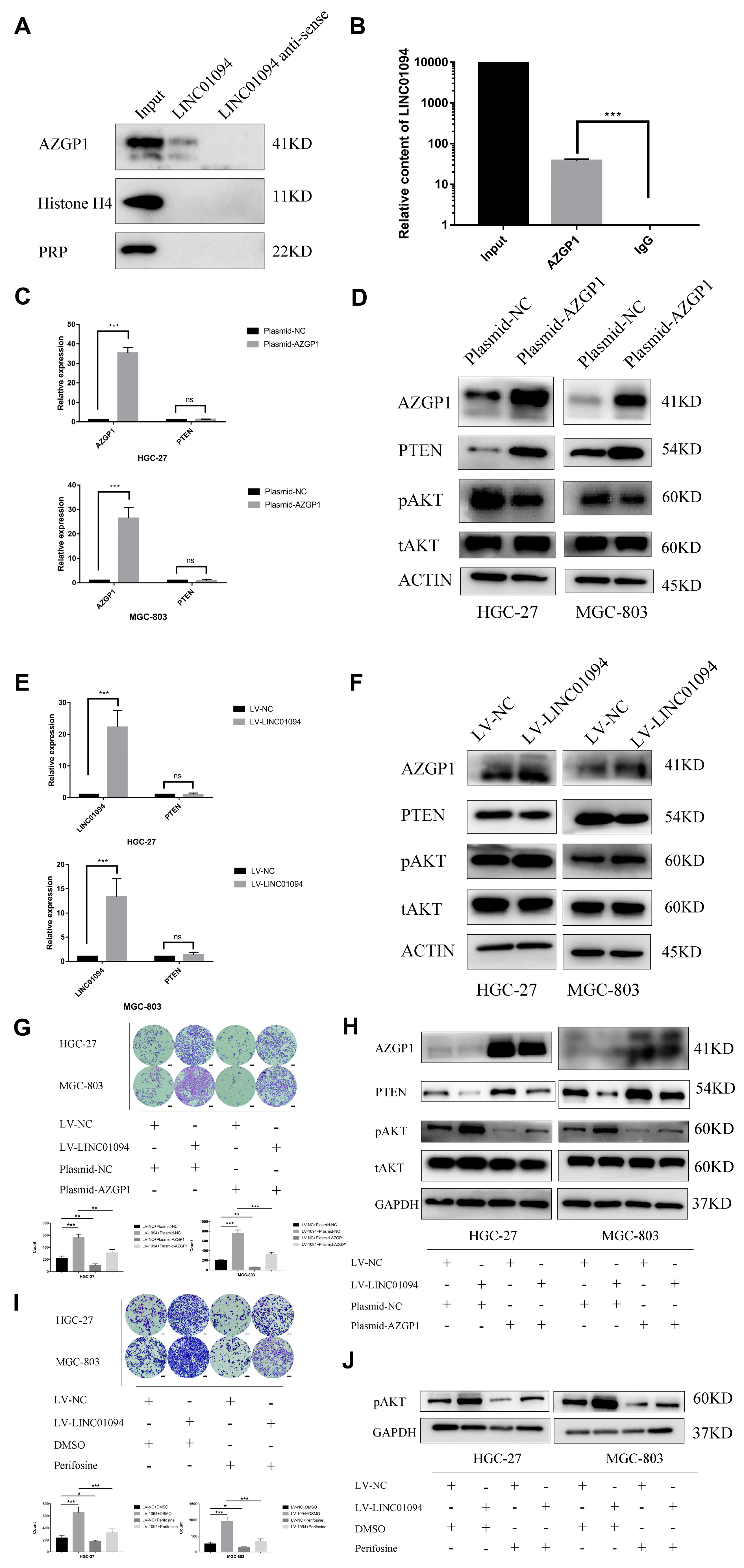 Cancers 15 01261 g008