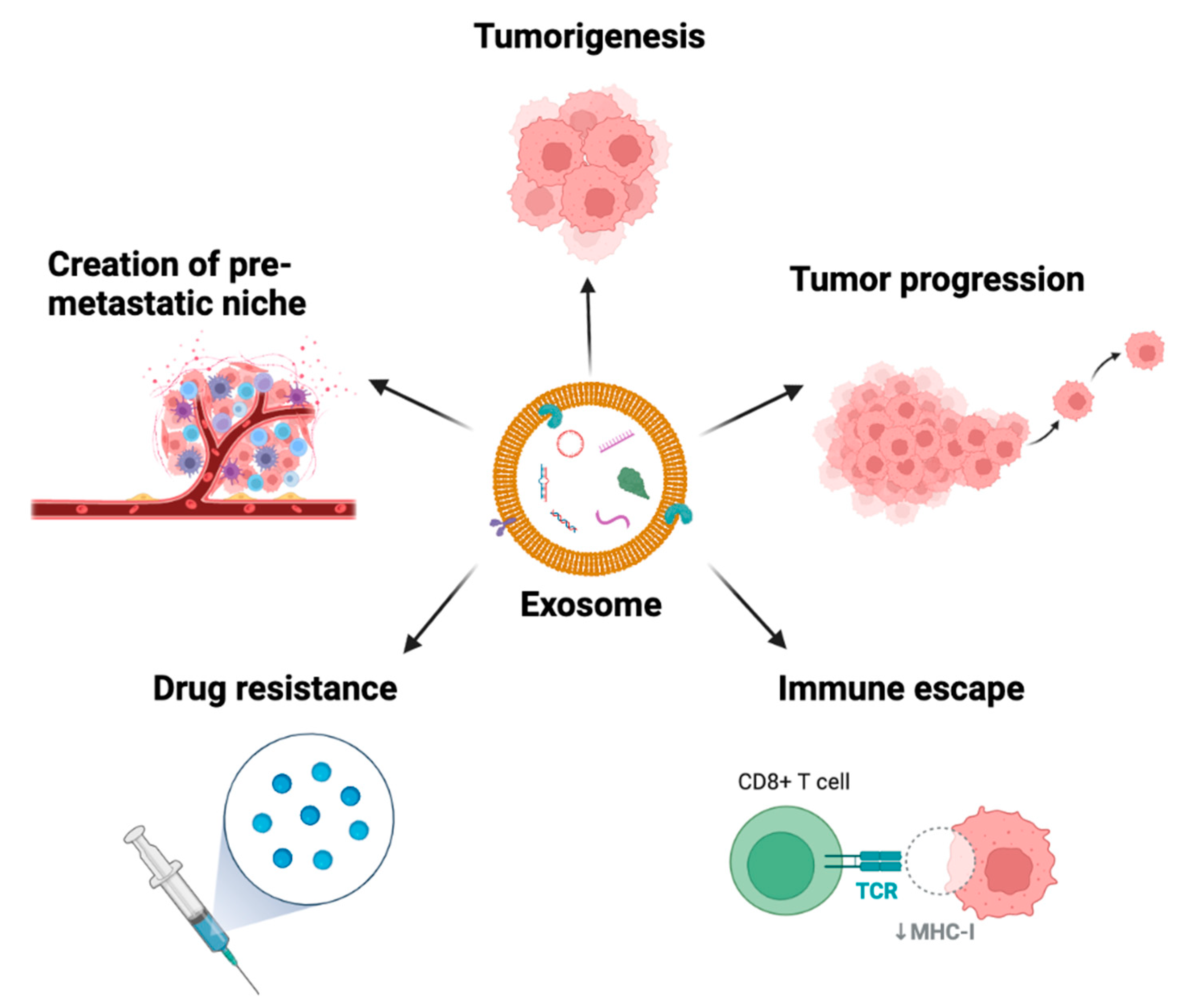 Cancers 15 01263 g002