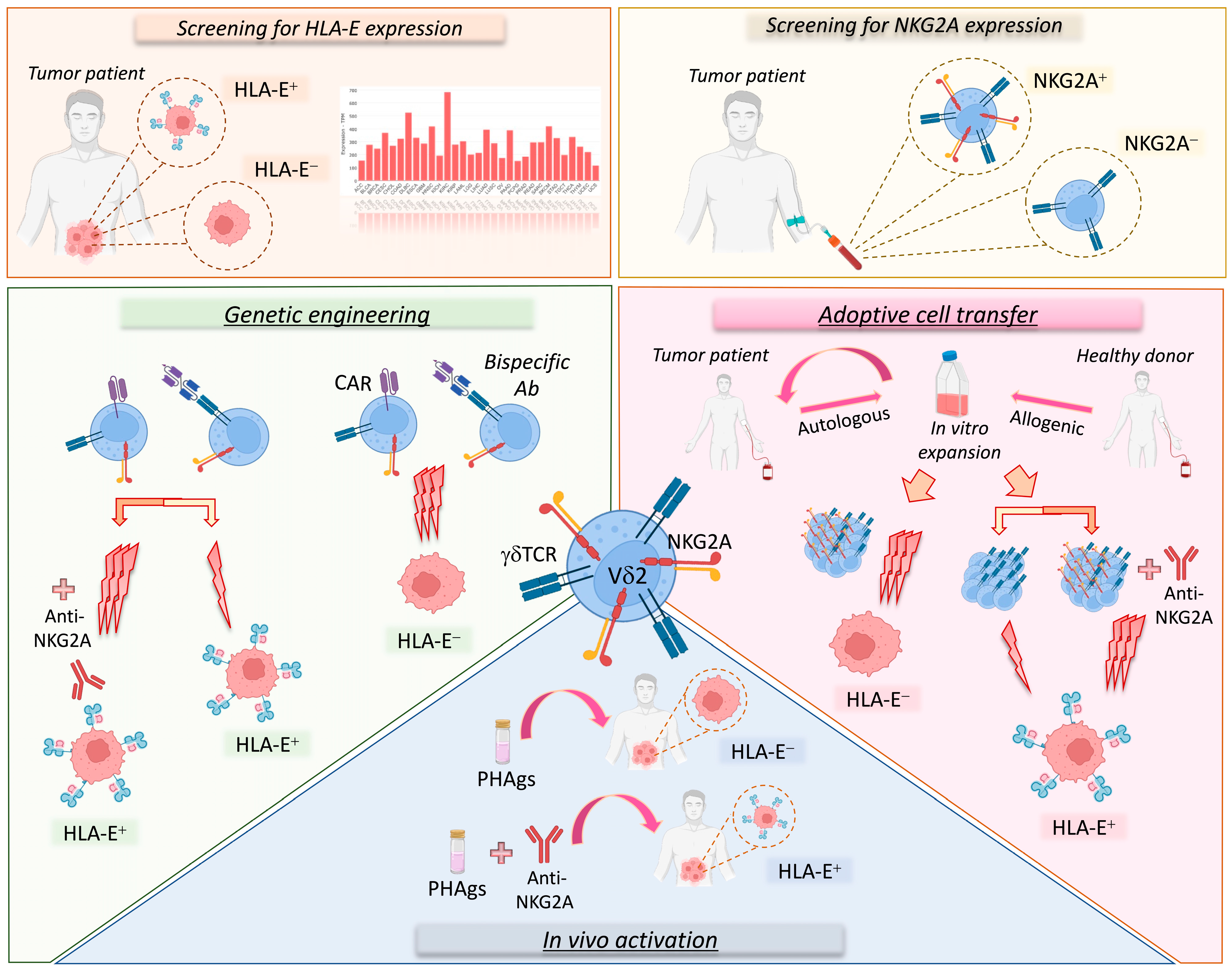 Cancers 15 01264 g002