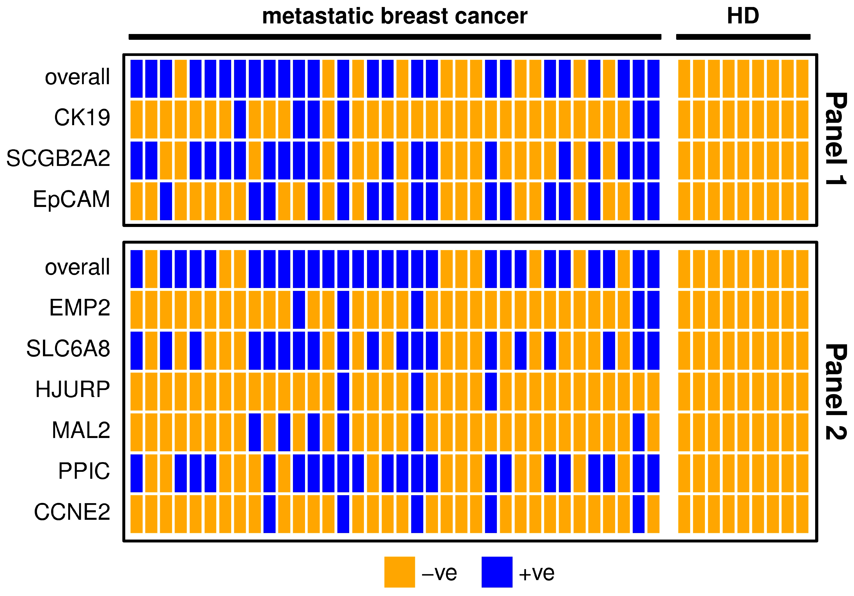 Cancers 15 01271 g001 Cancers 15 01271 g001