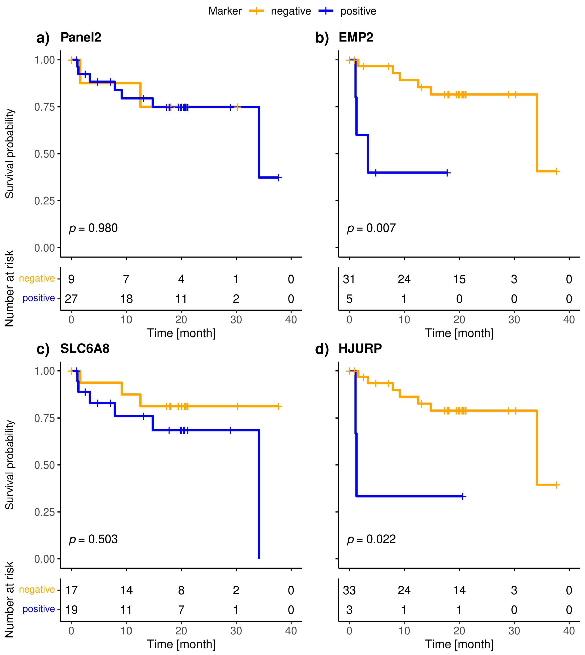 Cancers 15 01271 g004a Cancers 15 01271 g004a