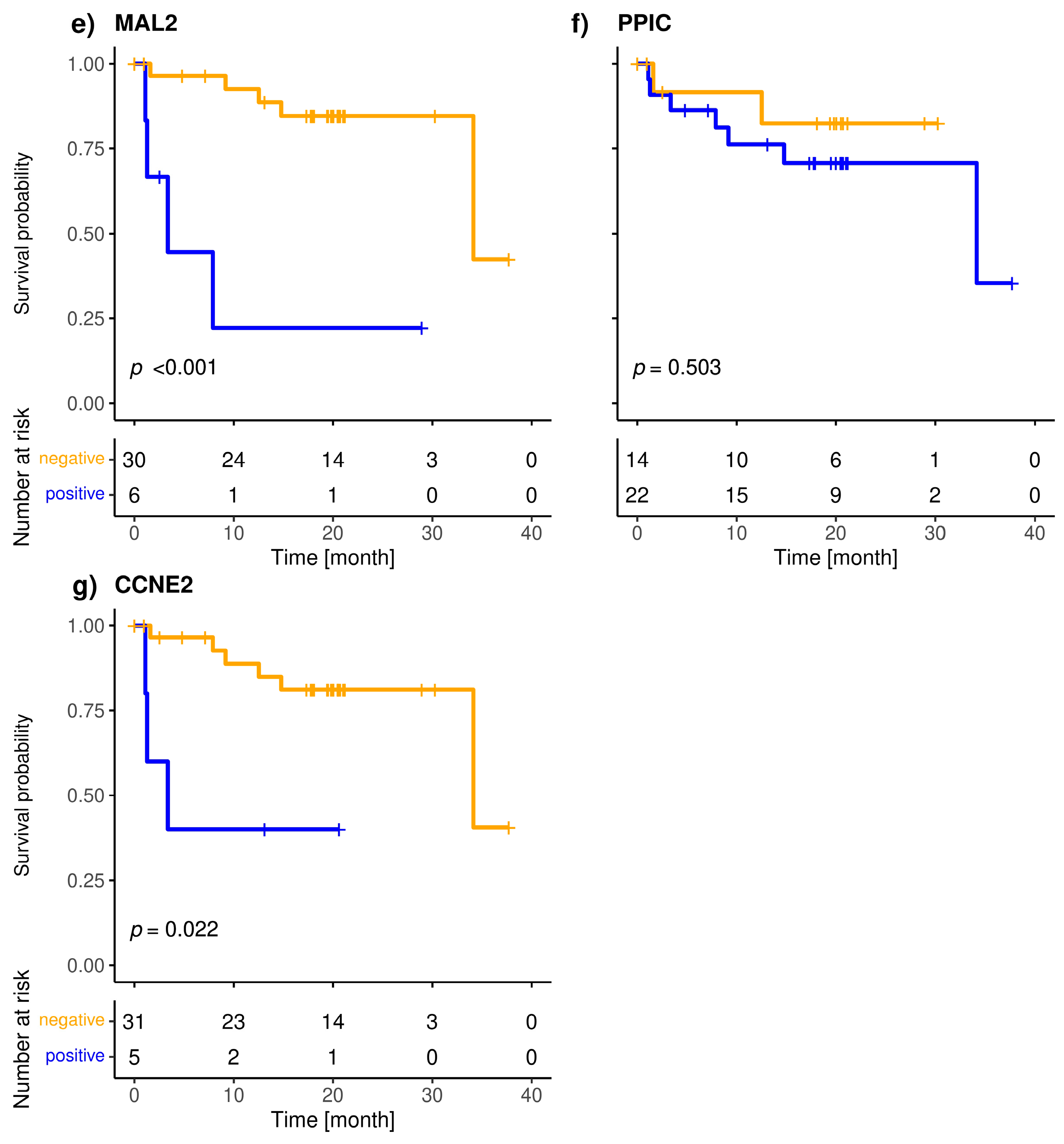 Cancers 15 01271 g004b Cancers 15 01271 g004b