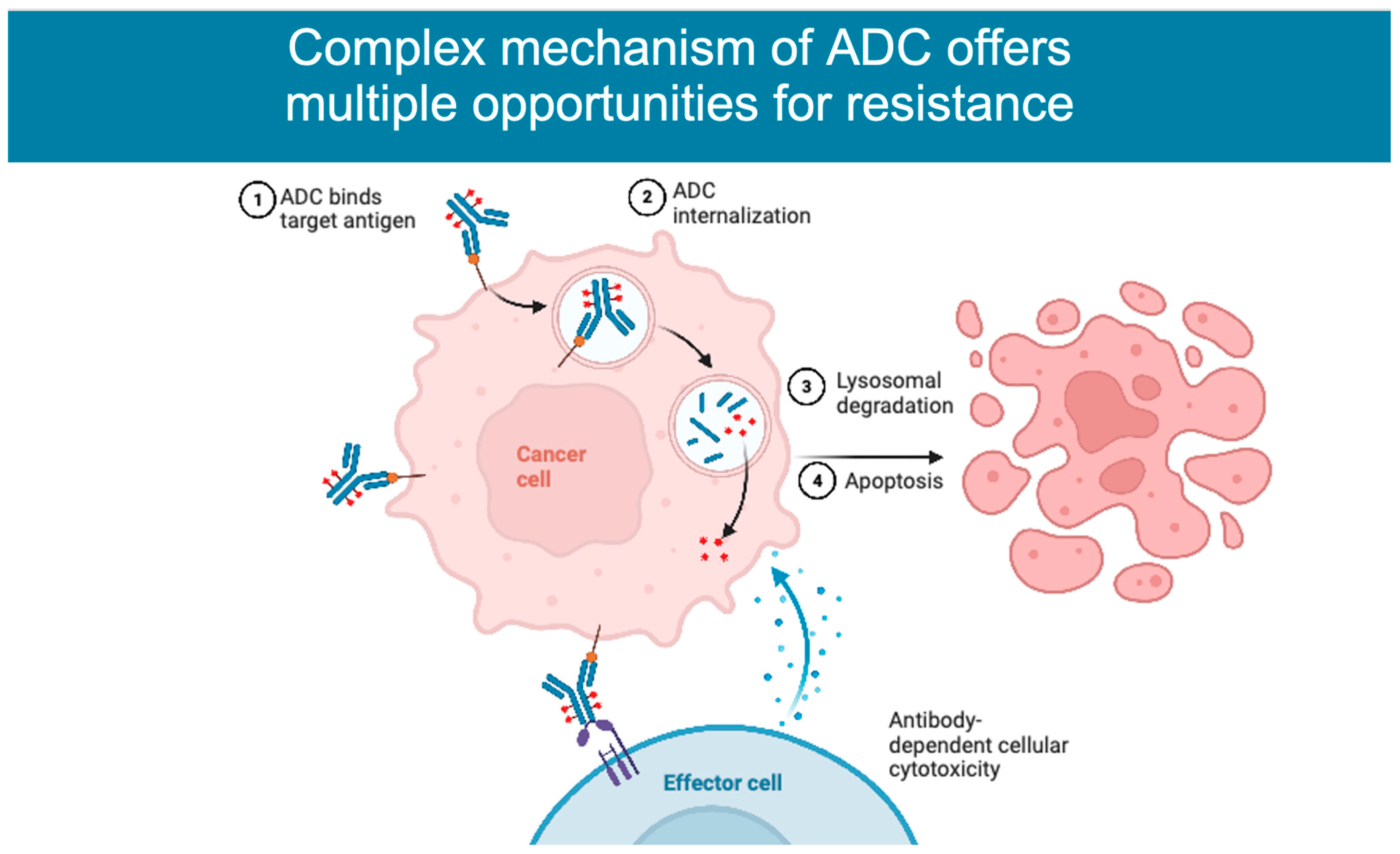 Cancers 15 01278 g002