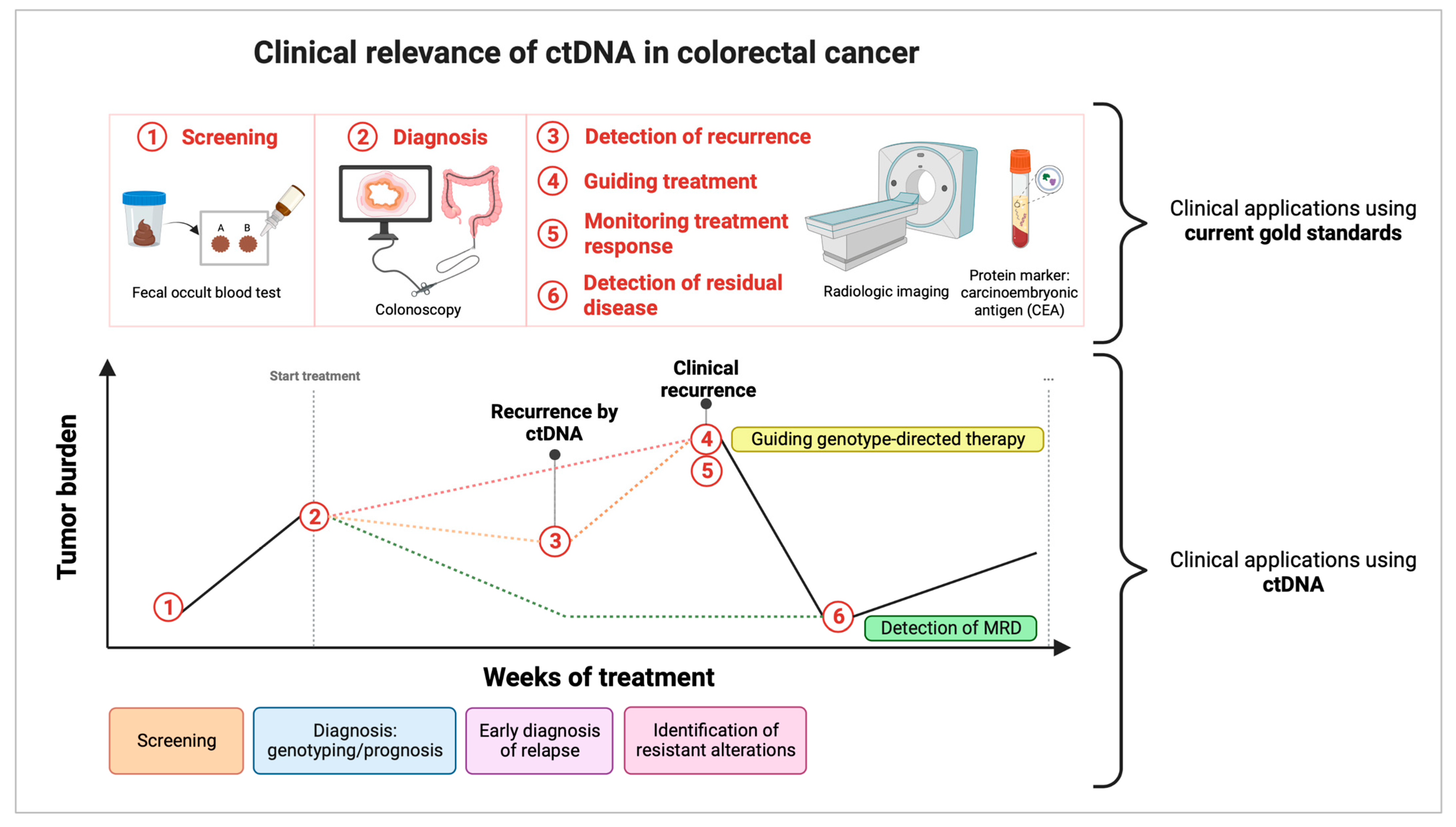 Cancers 15 01284 g001