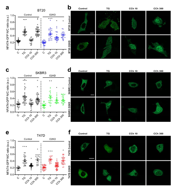 Cancers 15 01290 i001
