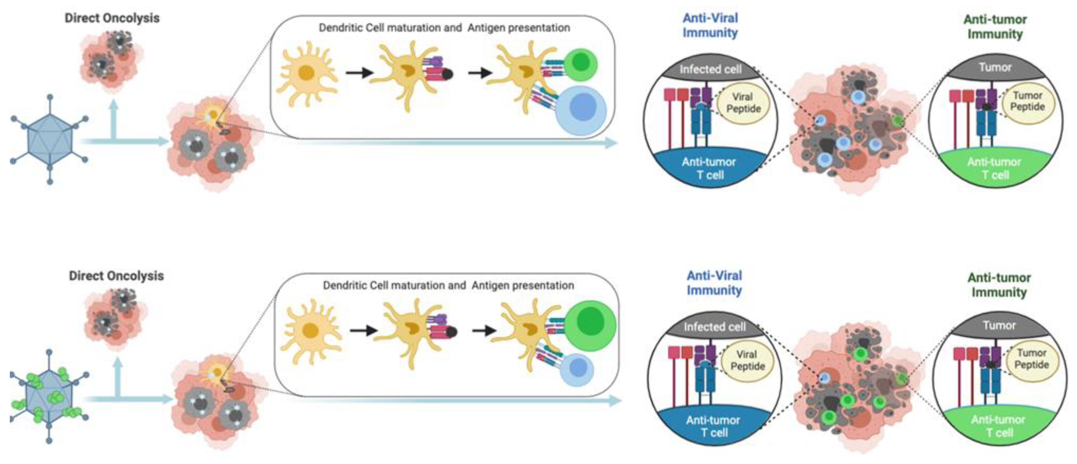 Cancers 15 01297 g001 Cancers 15 01297 g001