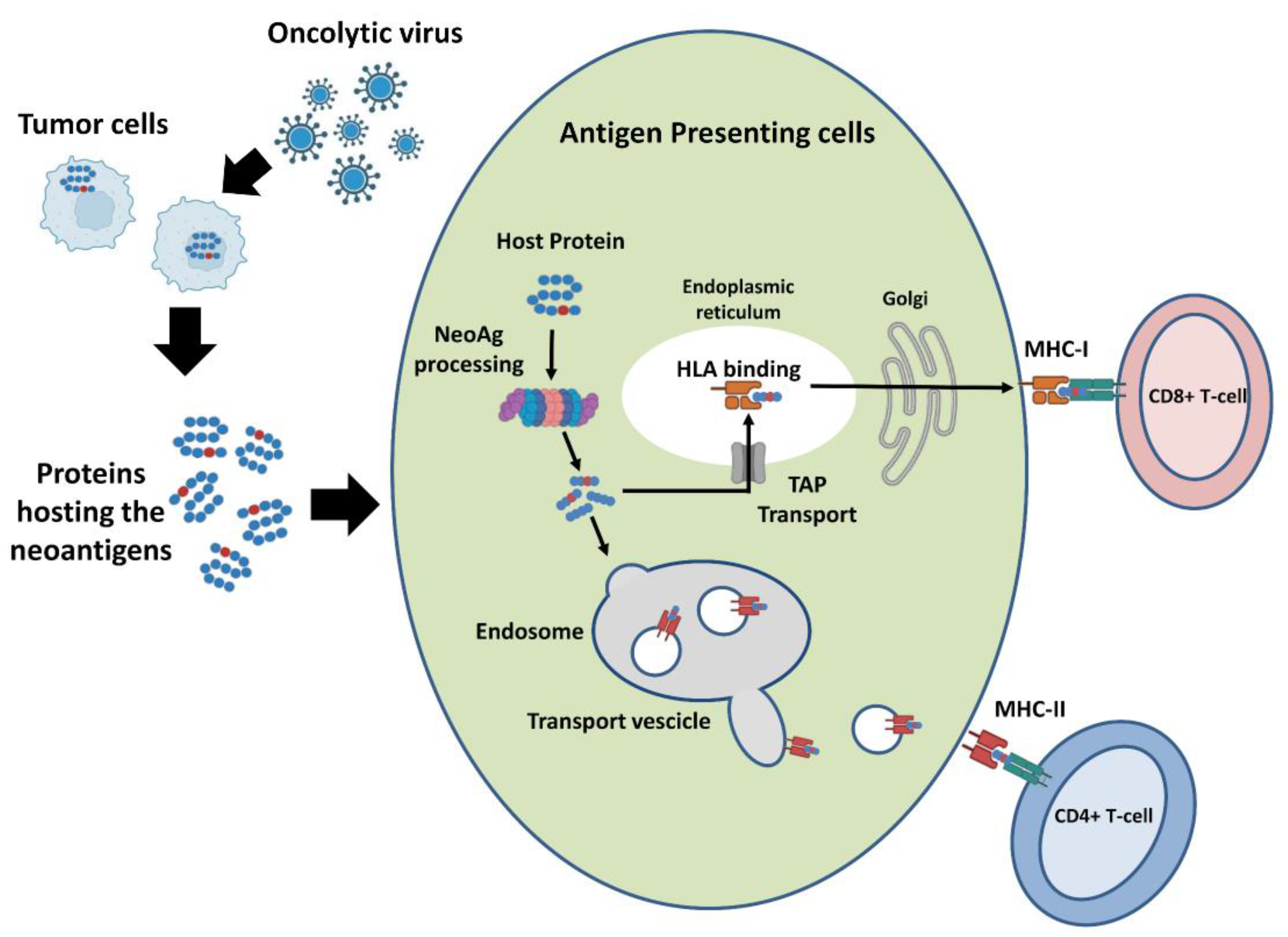 Cancers 15 01297 g005 Cancers 15 01297 g005