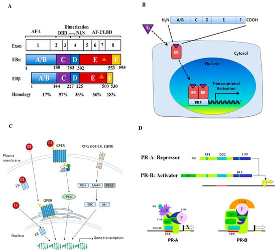 Cancers 15 01303 g001