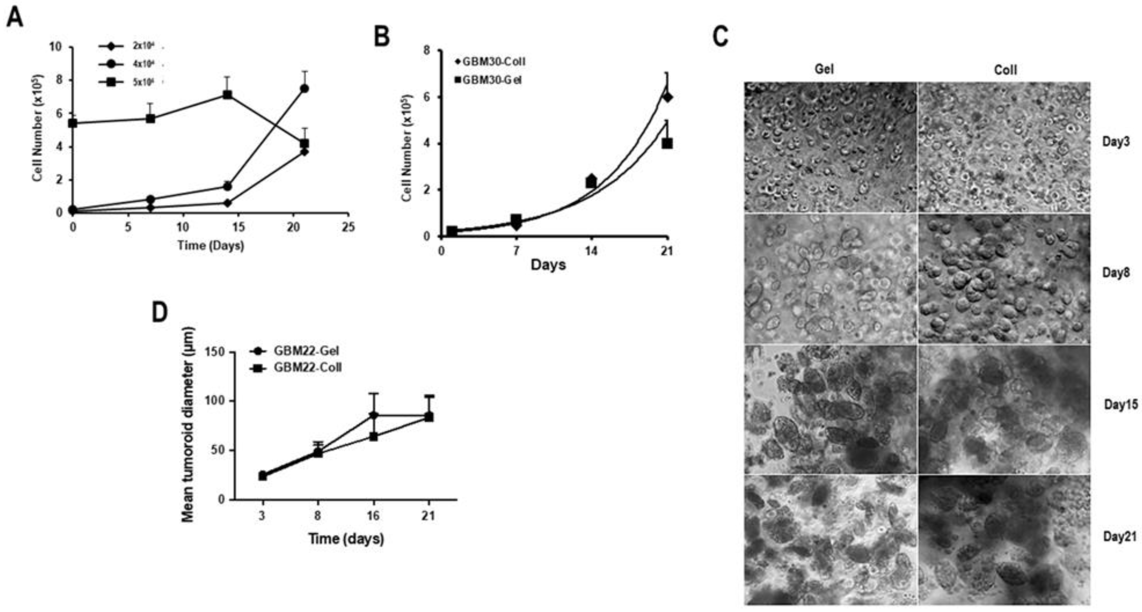 Cancers 15 01304 g002