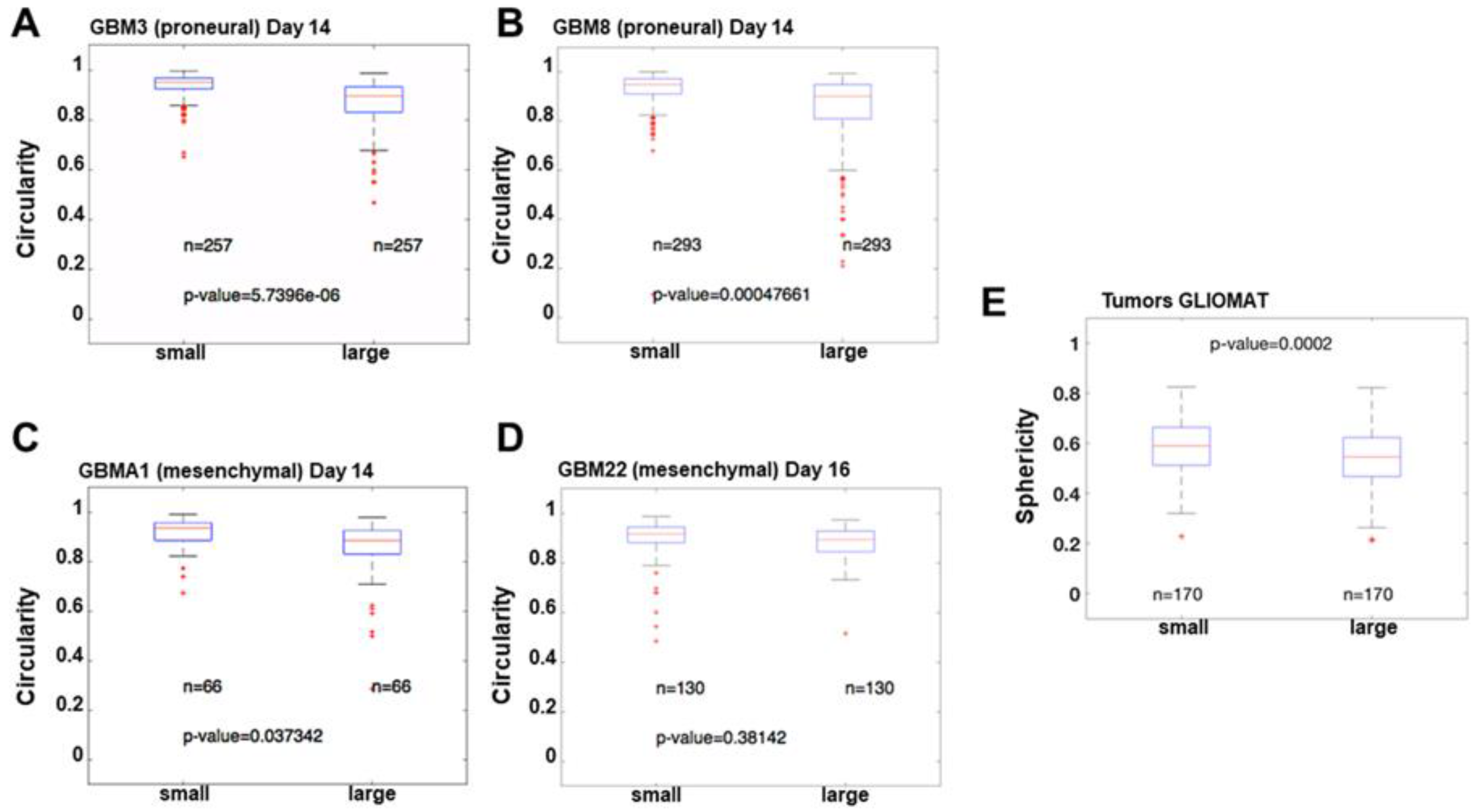 Cancers 15 01304 g005