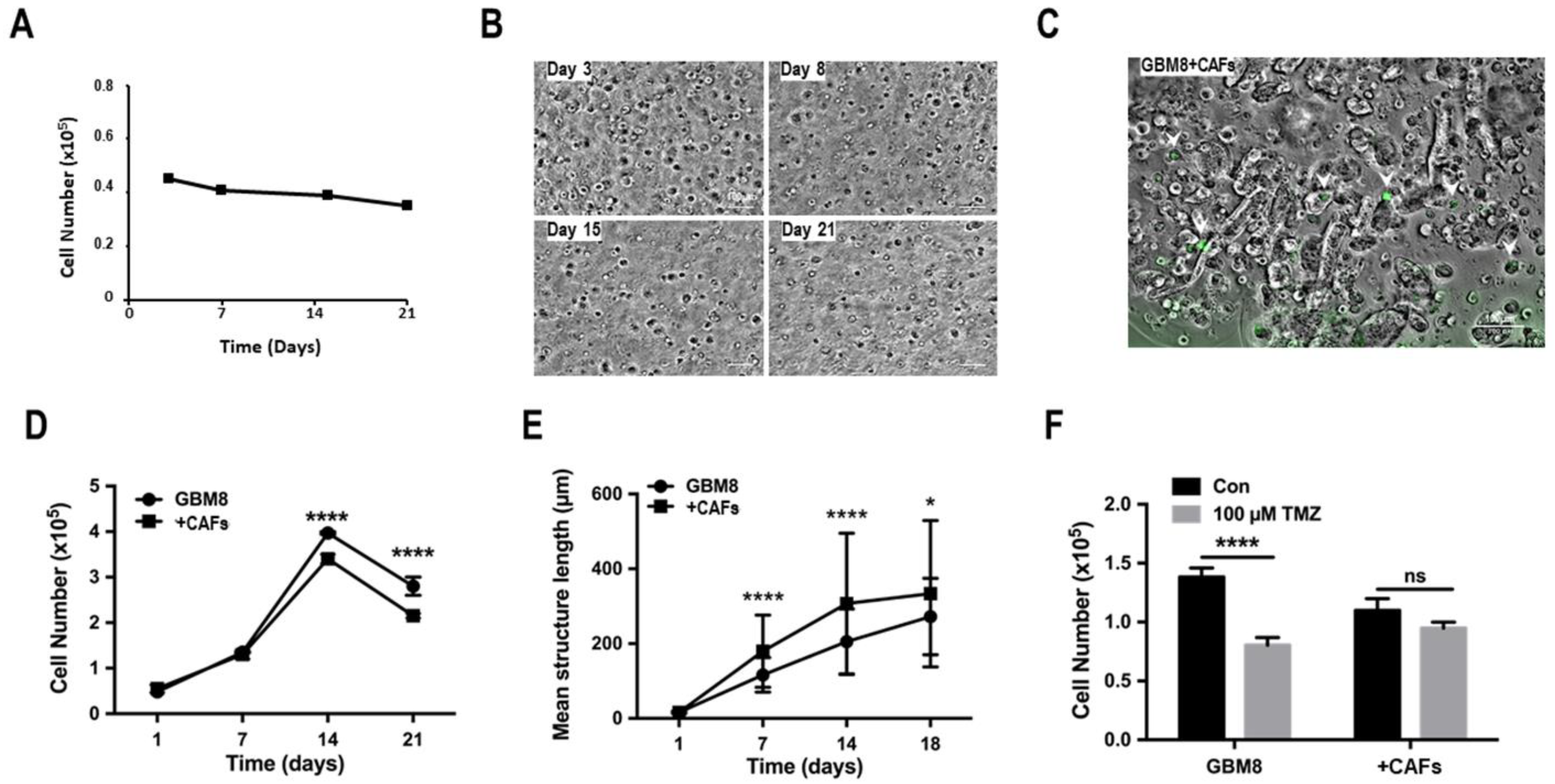 Cancers 15 01304 g006