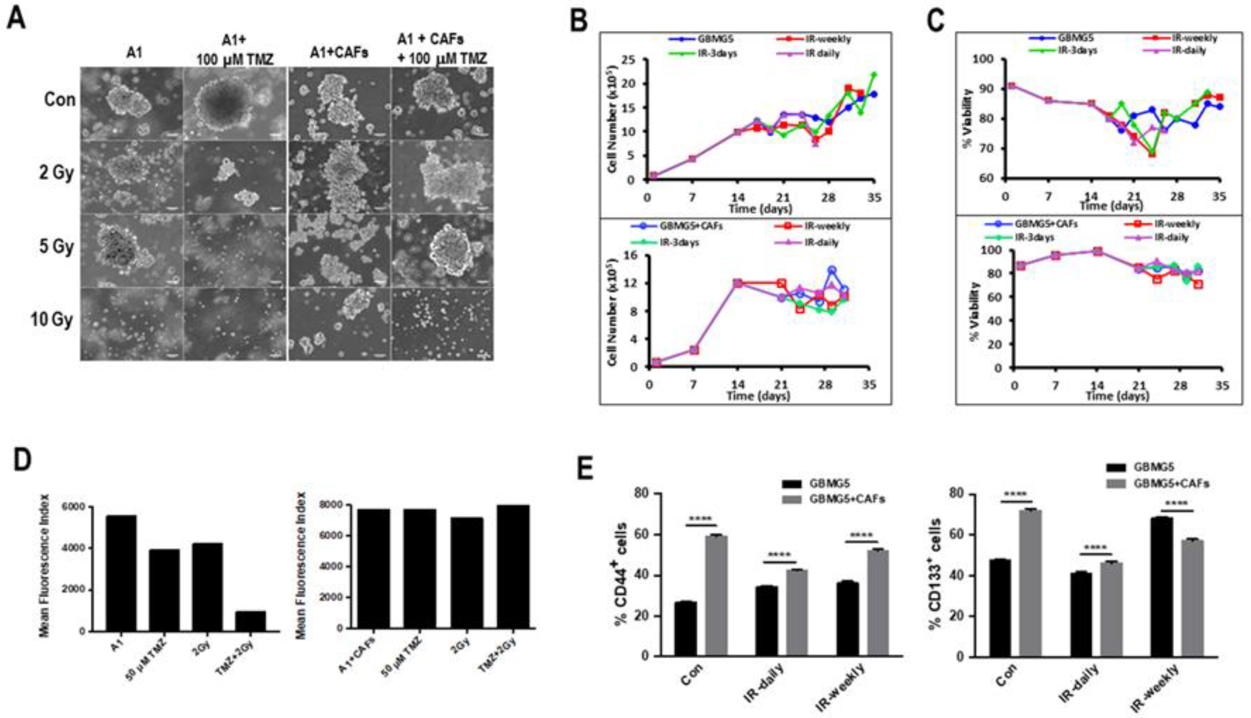 Cancers 15 01304 g007