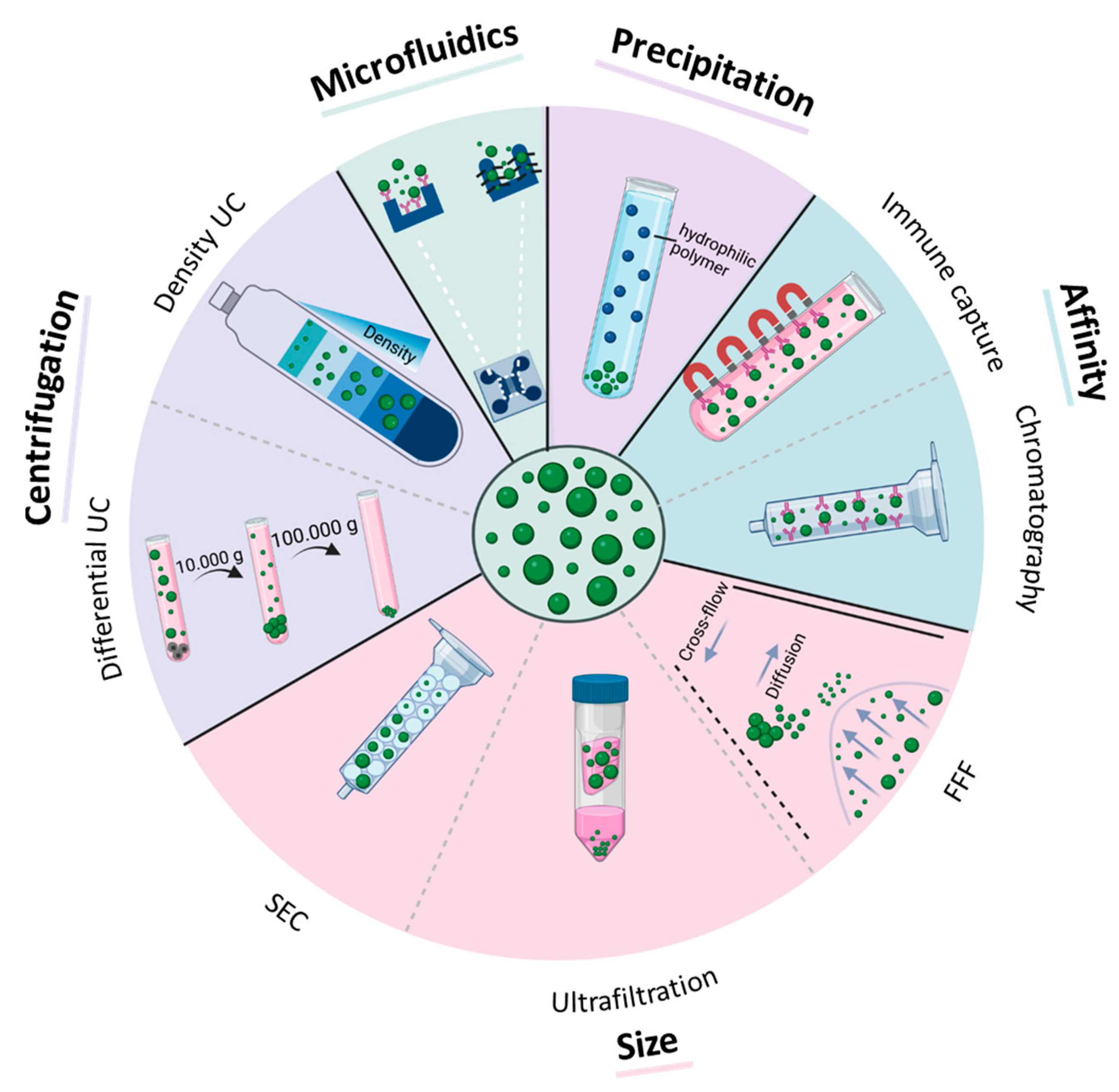Cancers 15 01307 g002