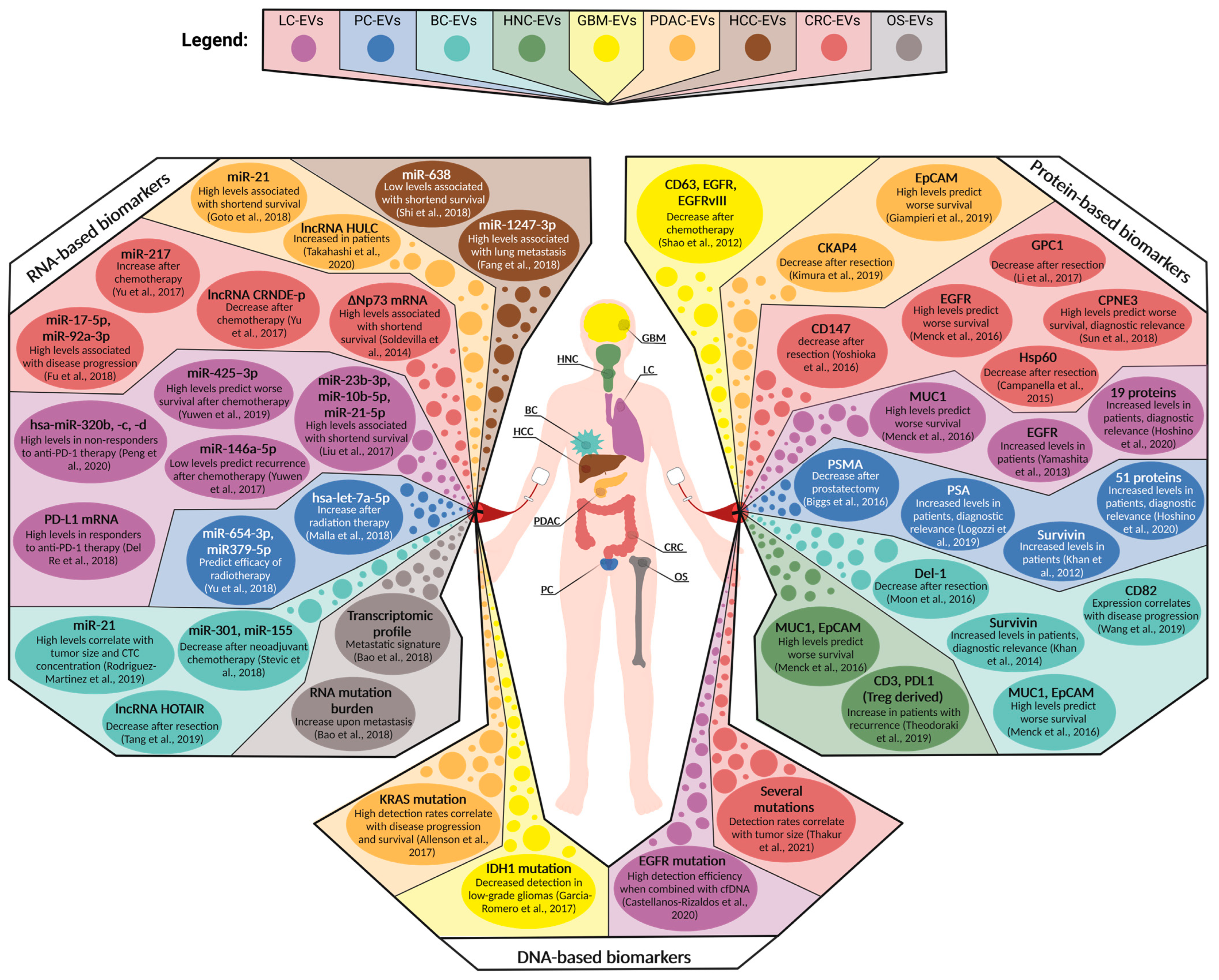 Cancers 15 01307 g003