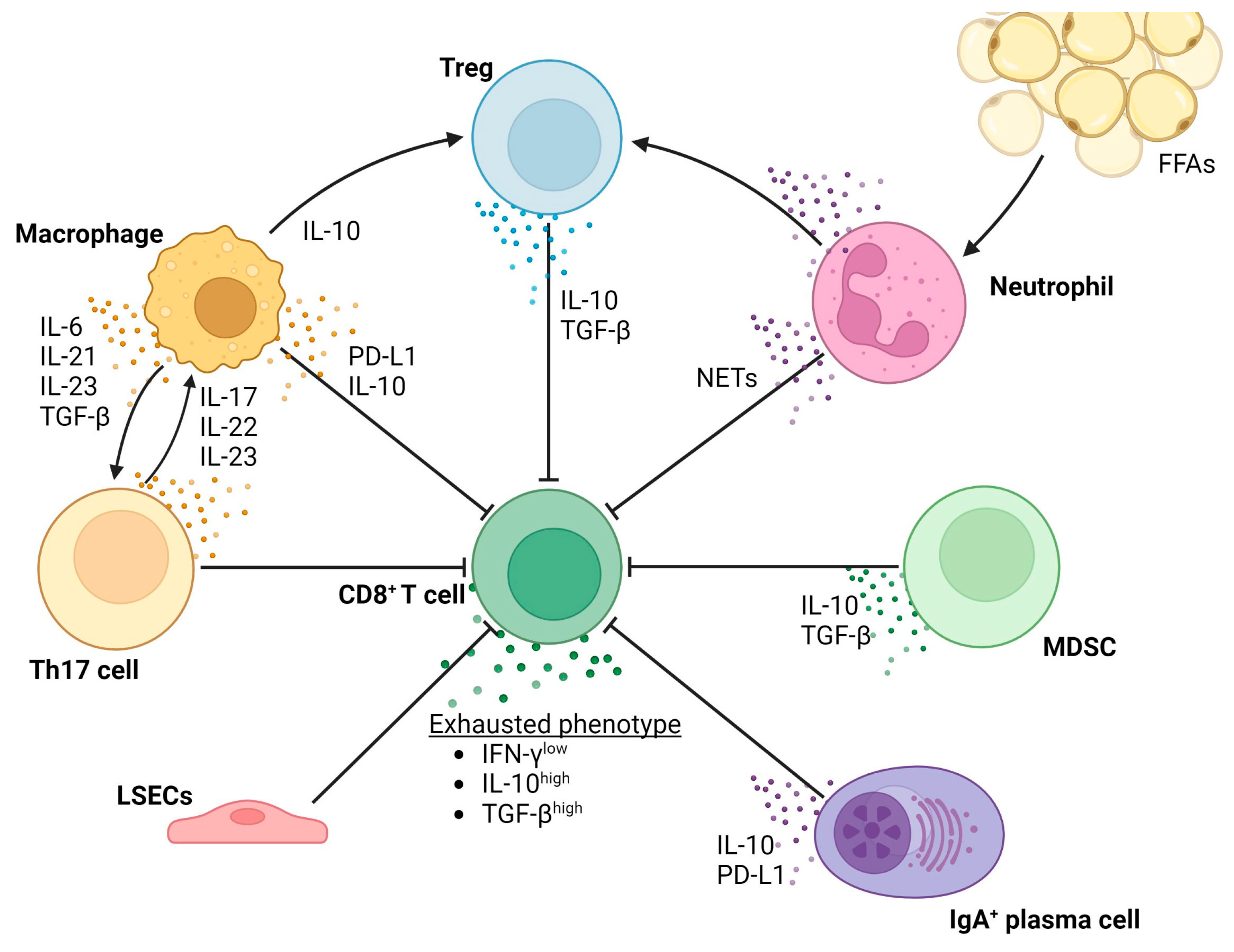 Cancers 15 01308 g003