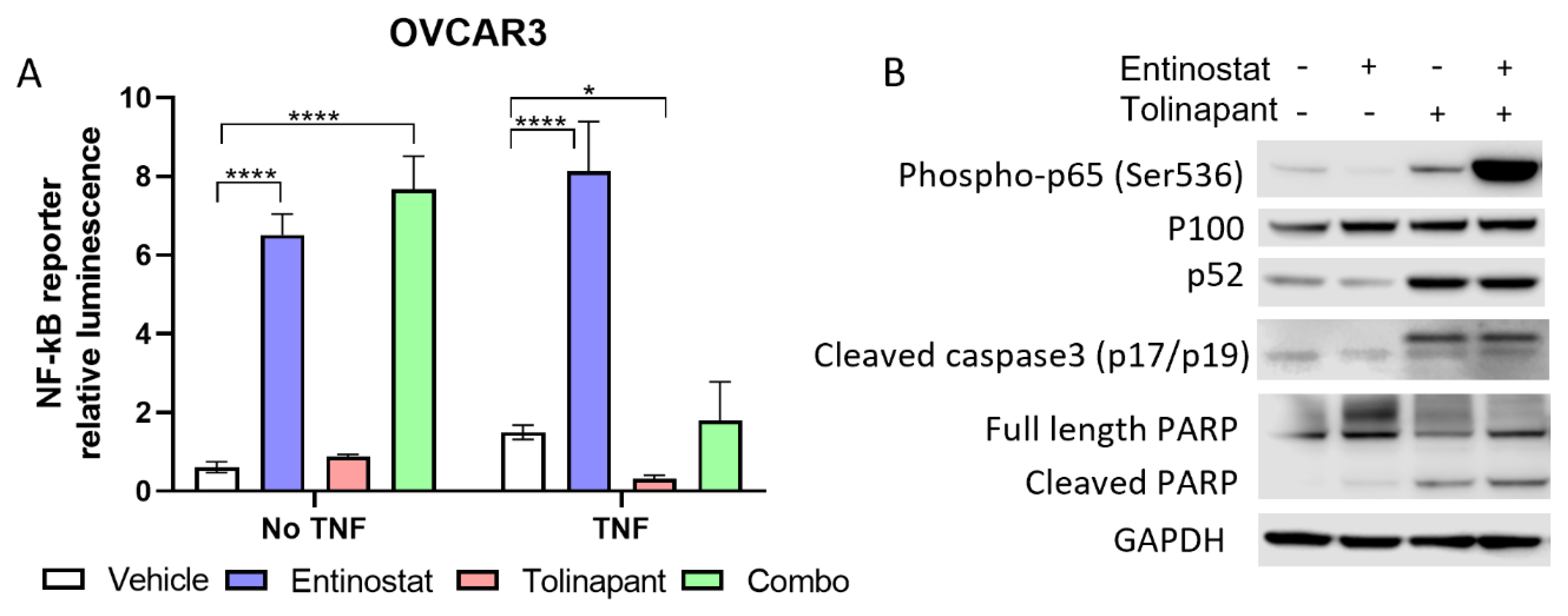 Cancers 15 01315 g003