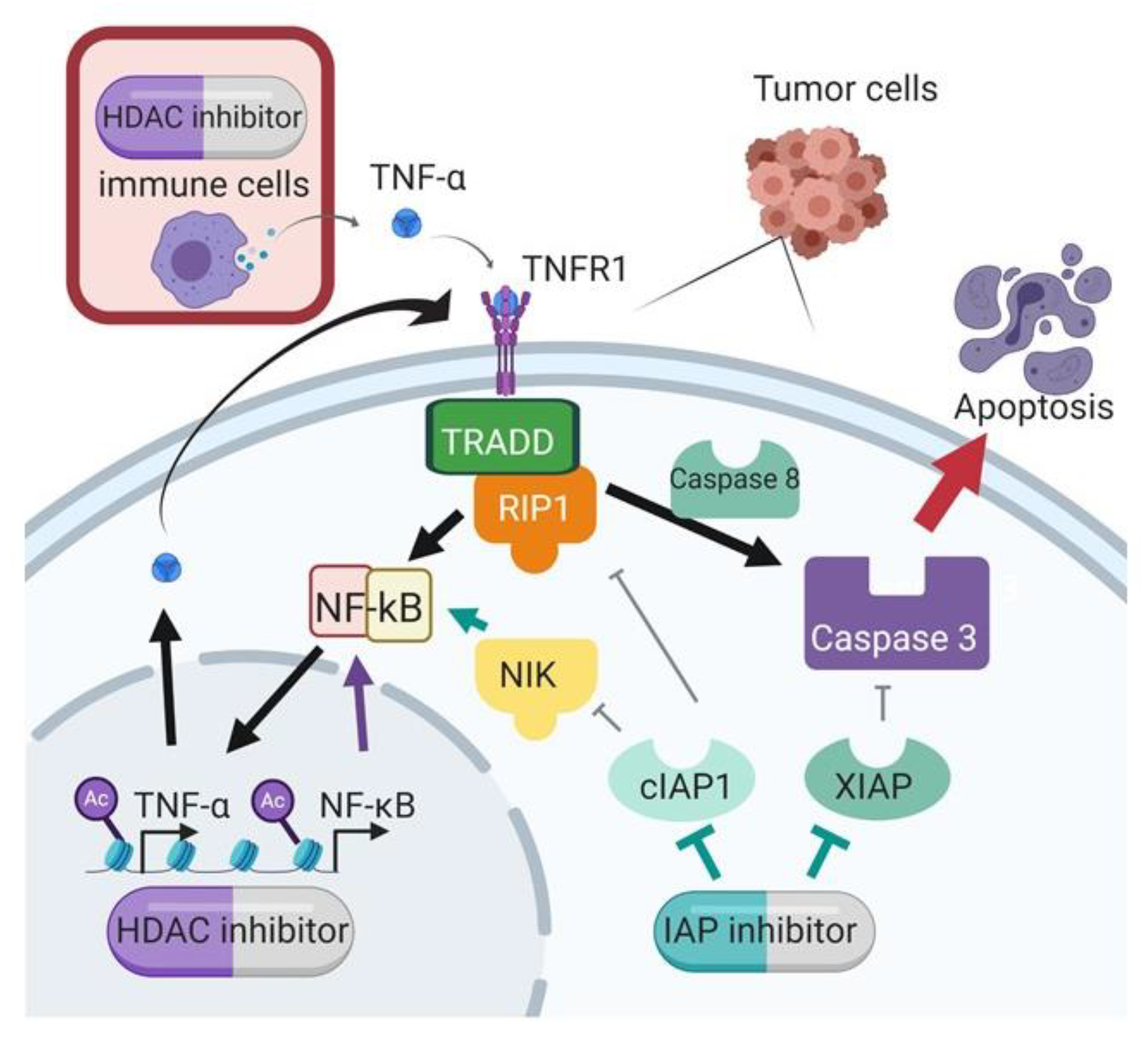 Cancers 15 01315 g008