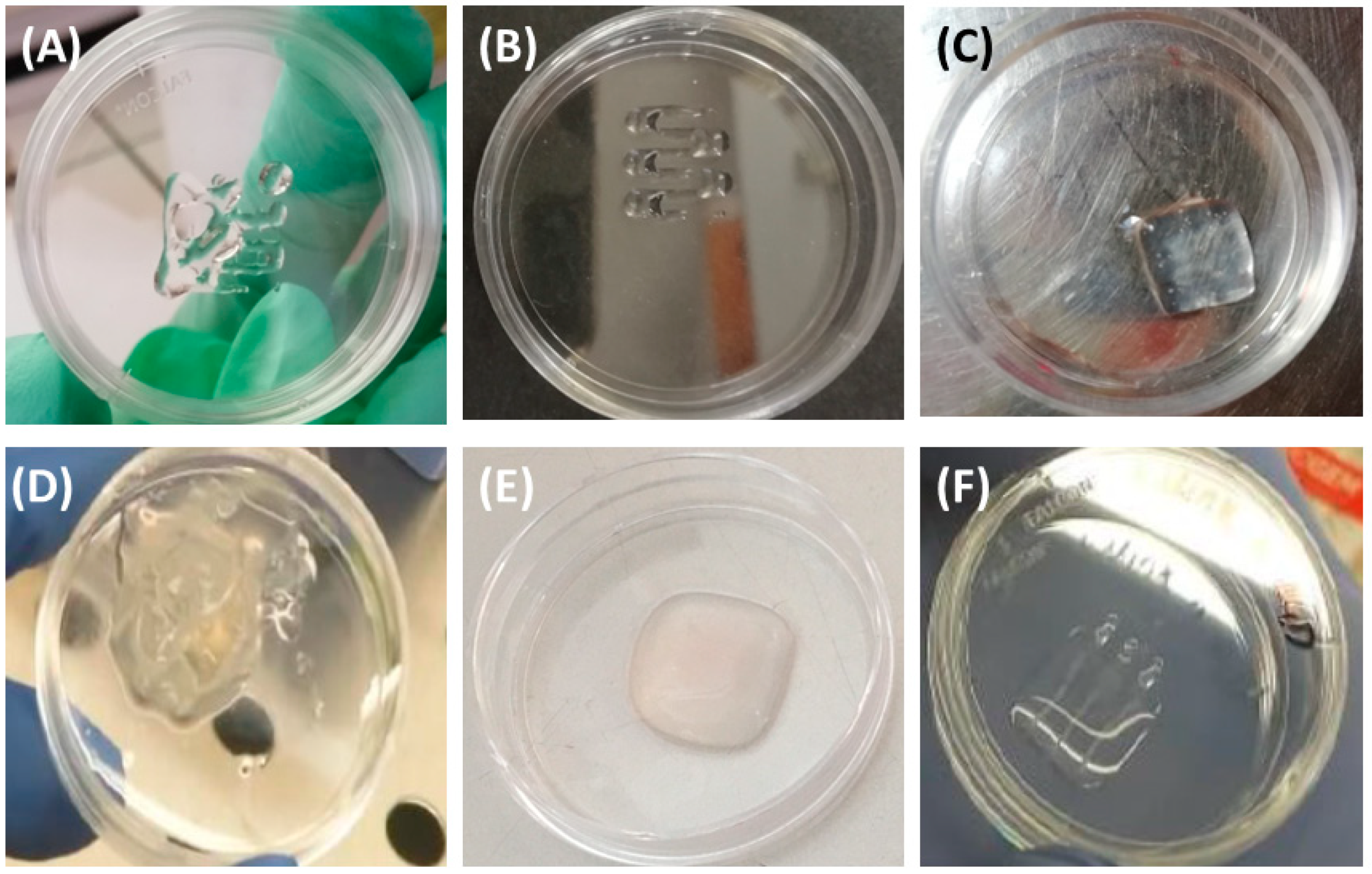 Cancers 15 01327 g001