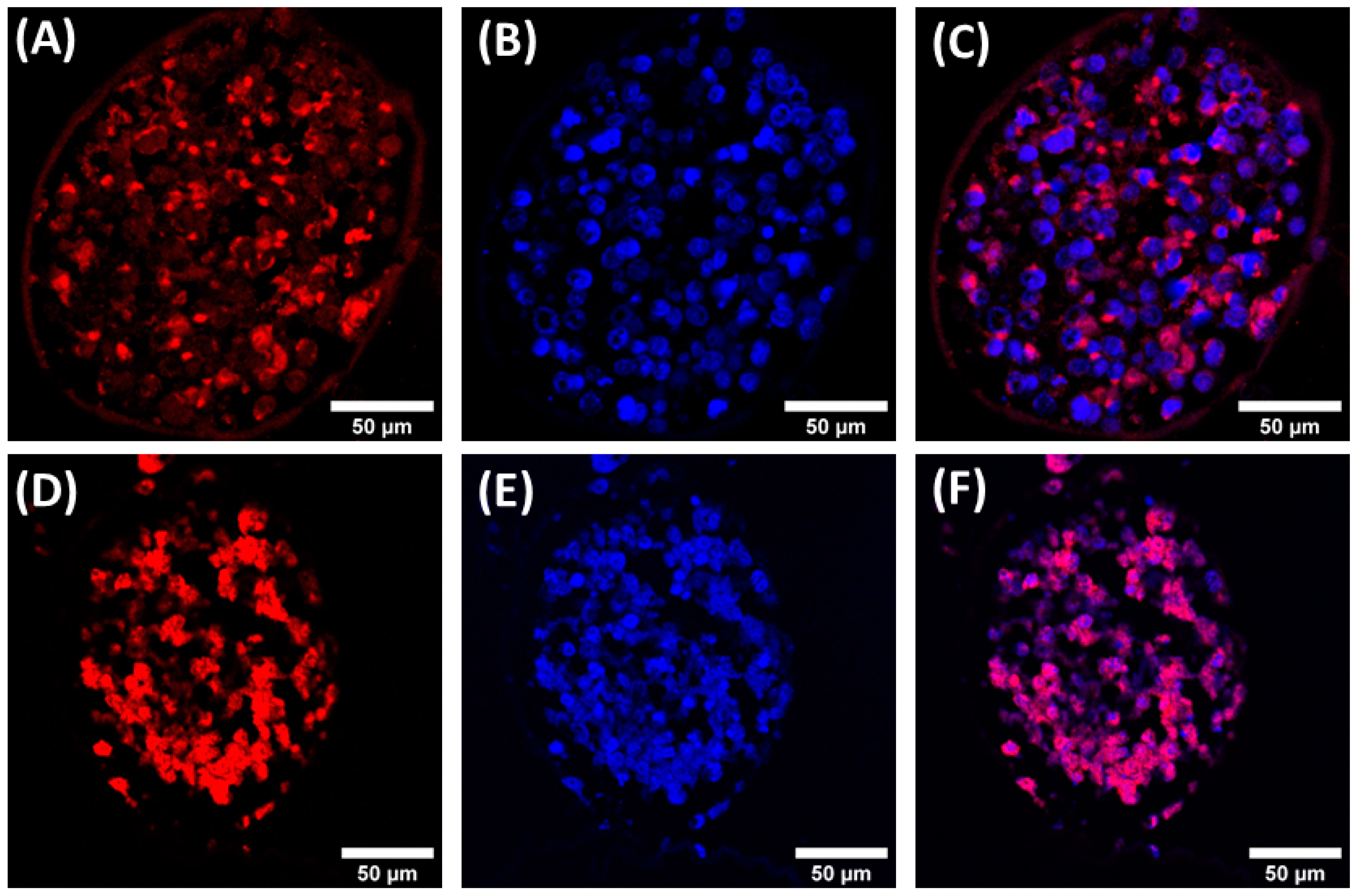 Cancers 15 01327 g006