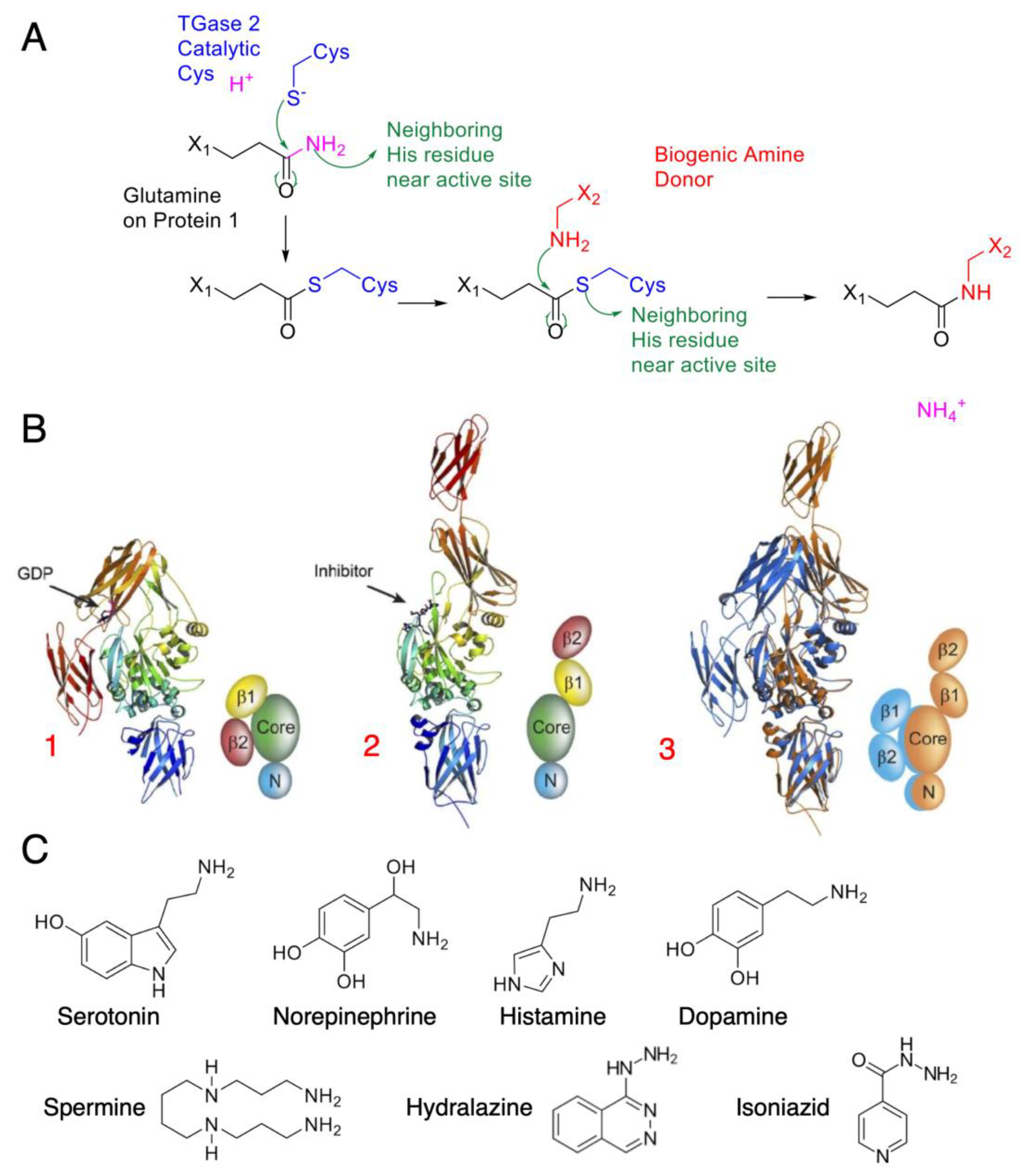 Cancers 15 01332 g001