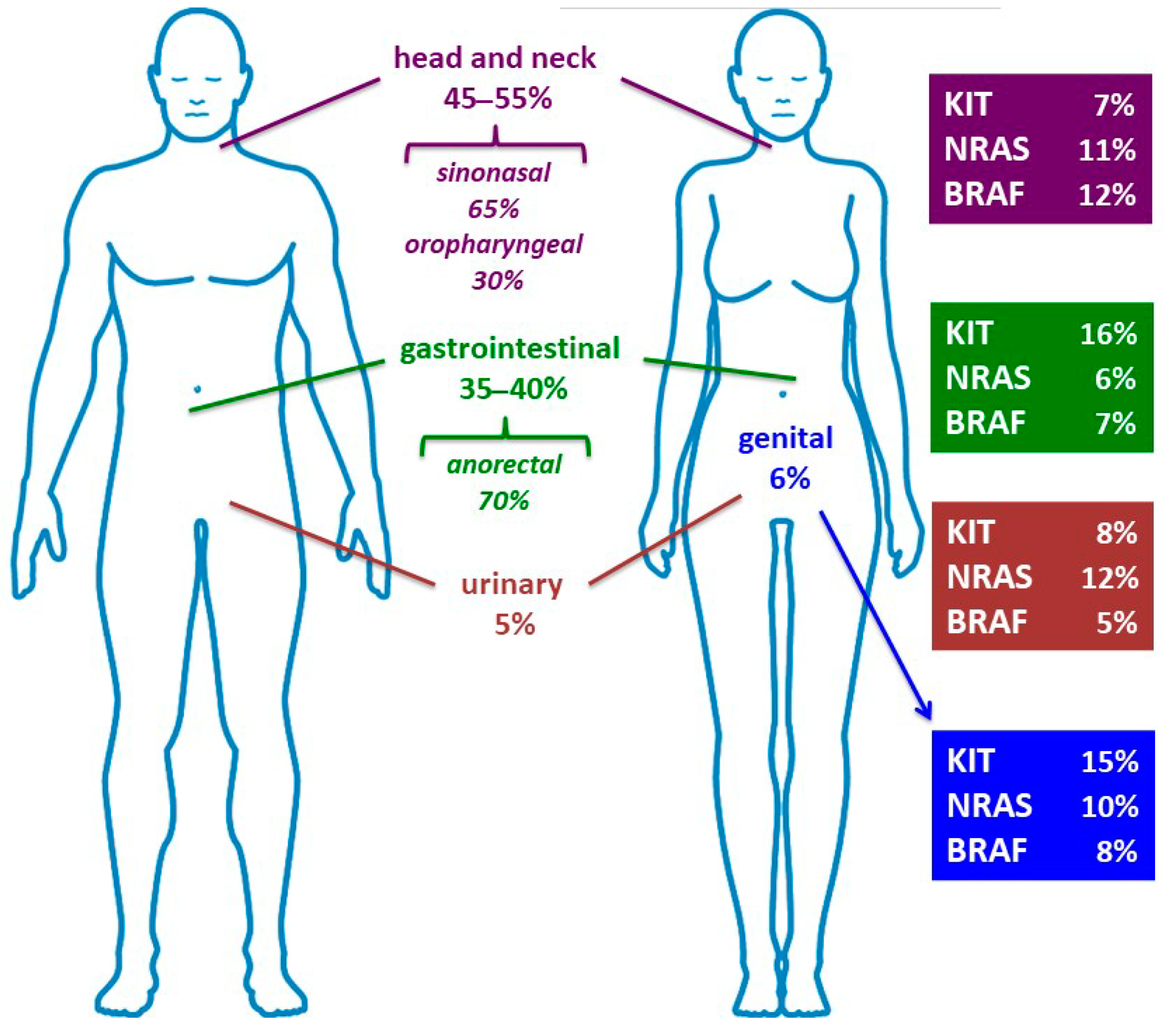 Cancers 15 01356 g002