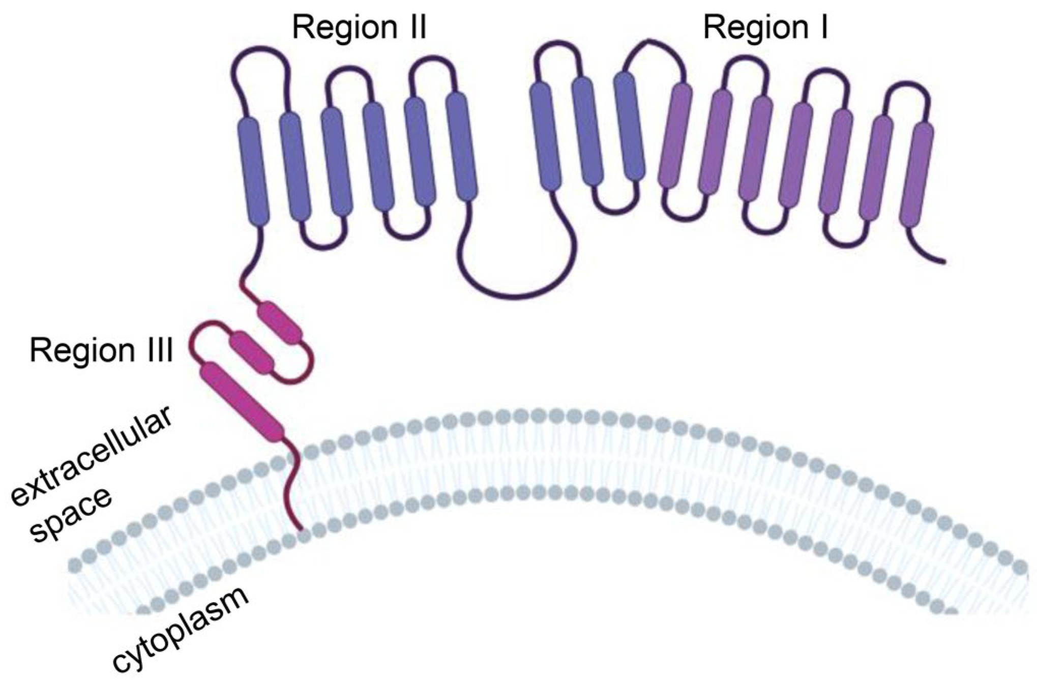 Cancers 15 01357 g003