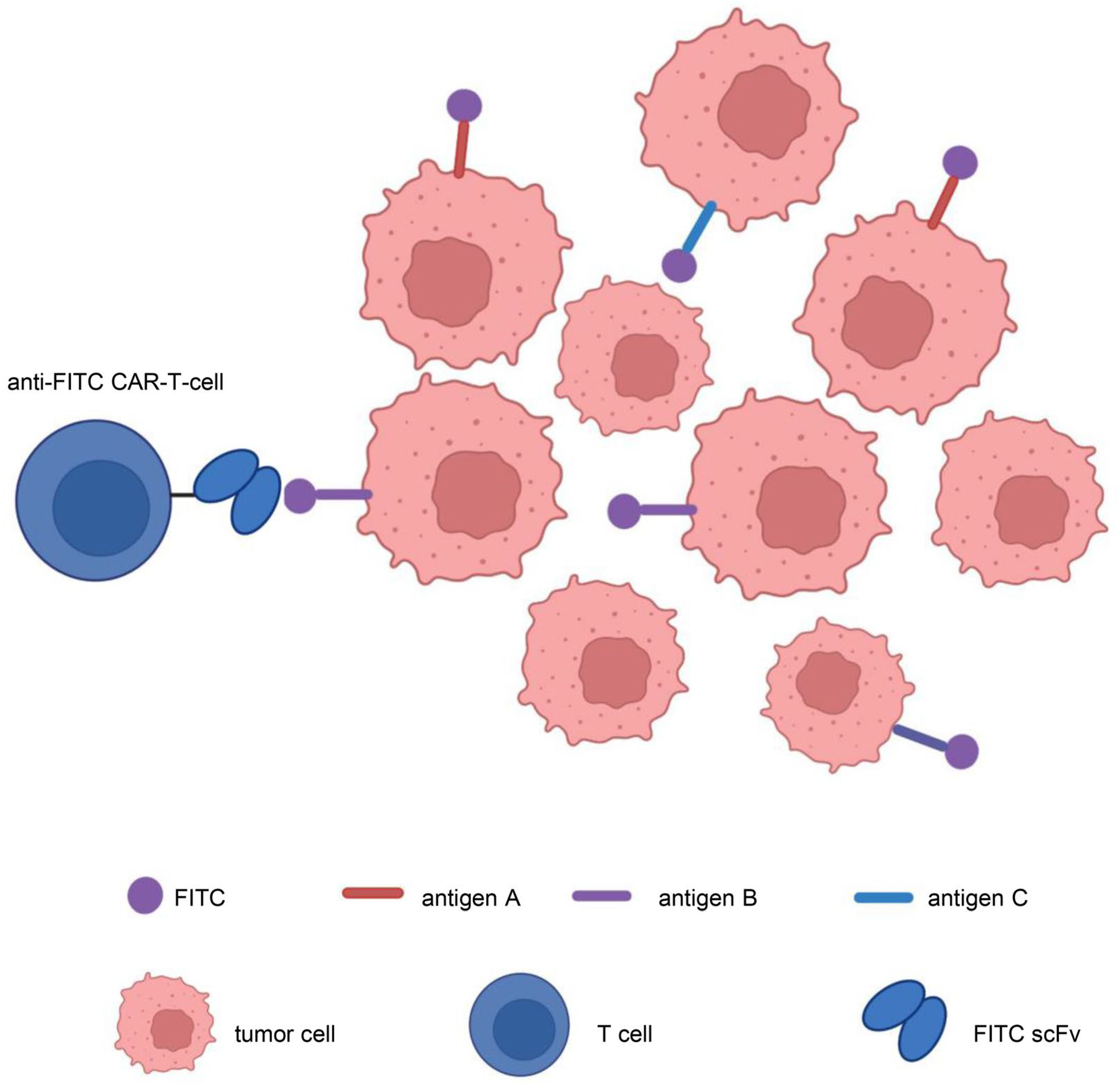 Cancers 15 01357 g006