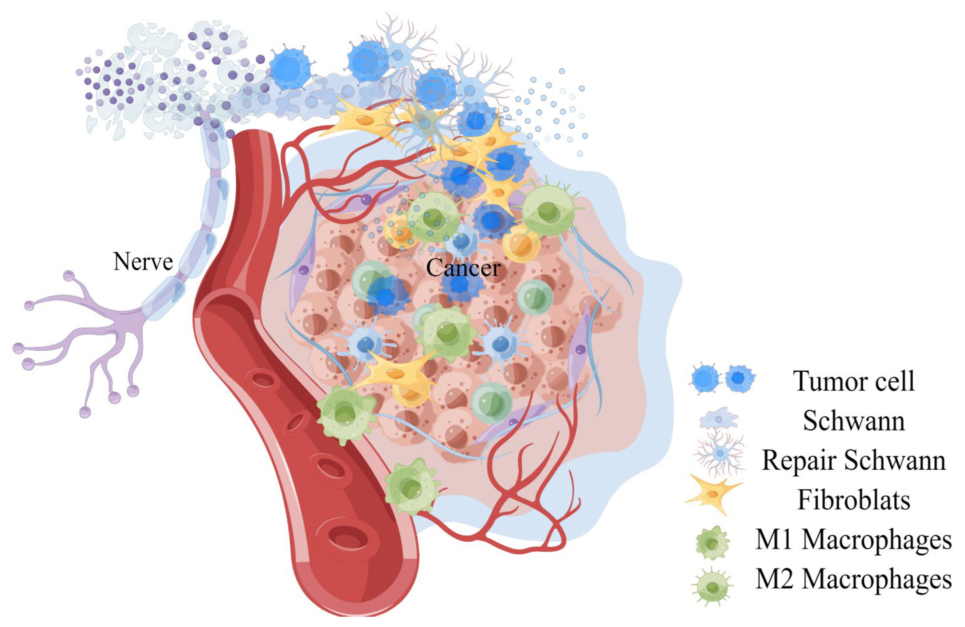 Cancers 15 01360 g001 Cancers 15 01360 g001