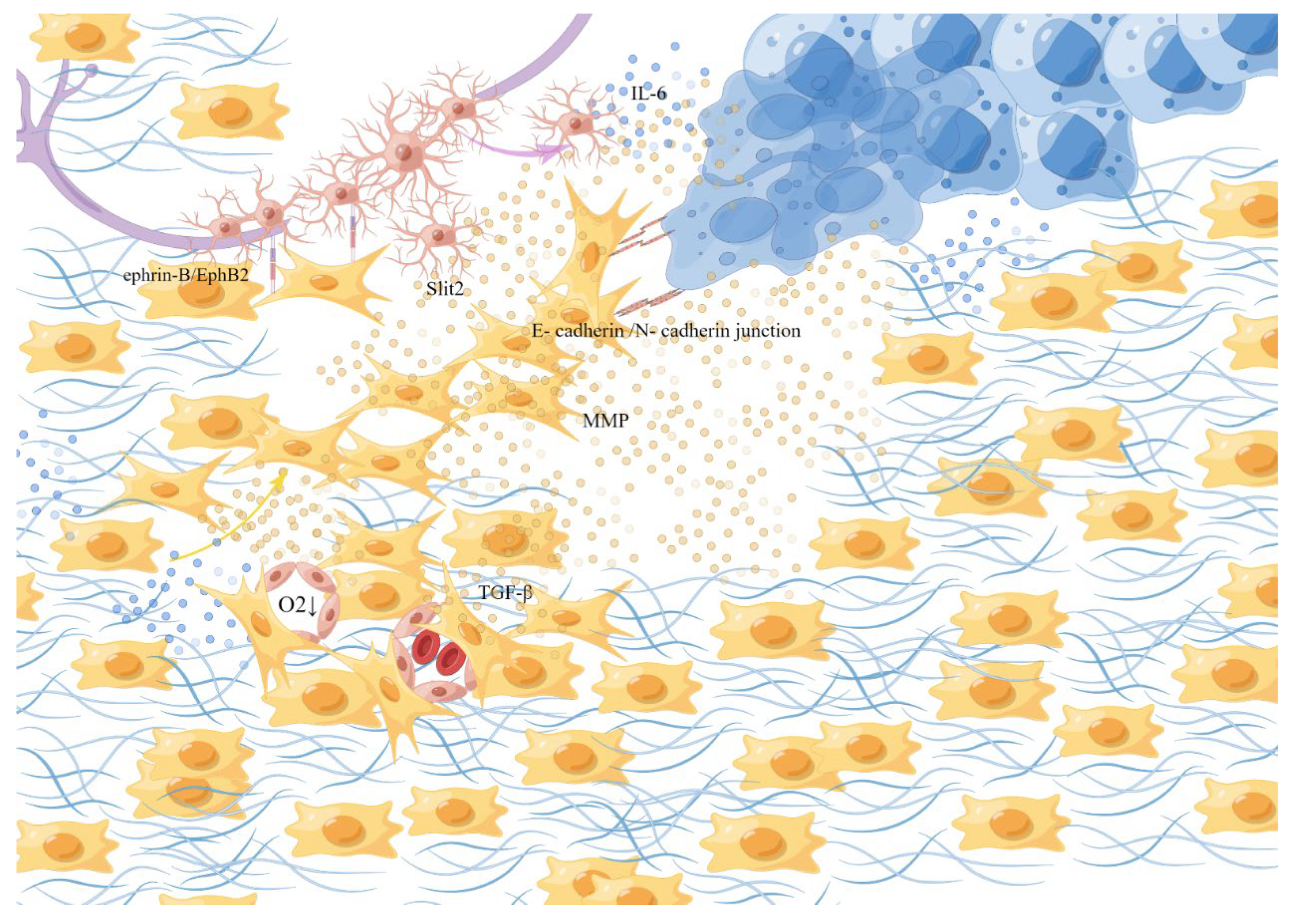 Cancers 15 01360 g003 Cancers 15 01360 g003