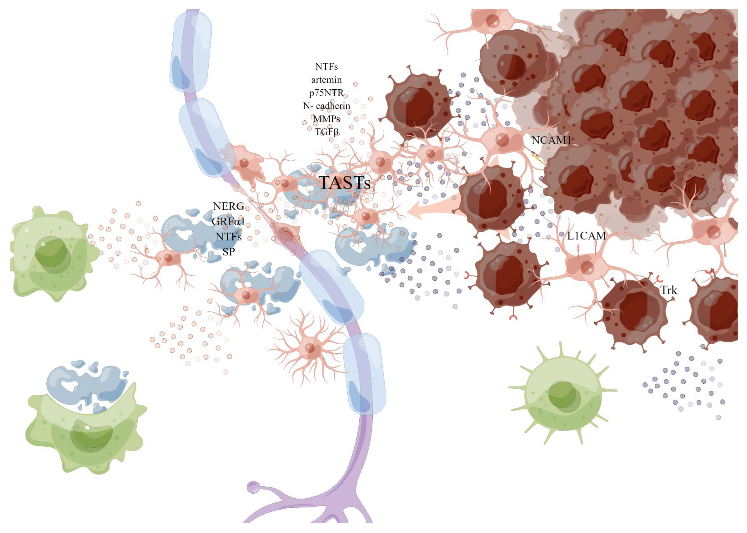 Cancers 15 01360 g004 Cancers 15 01360 g004