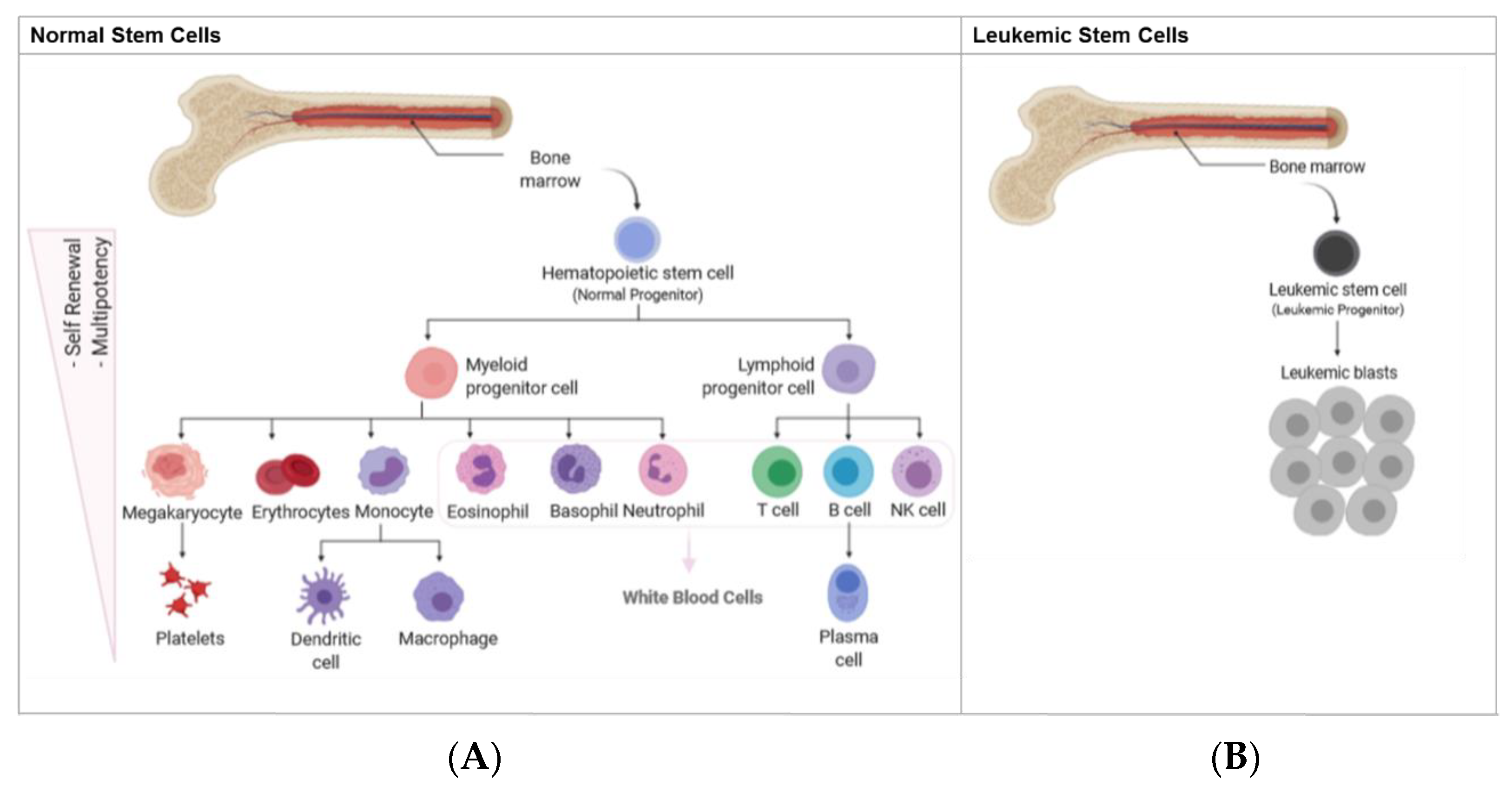 Cancers 15 01362 g001 Cancers 15 01362 g001