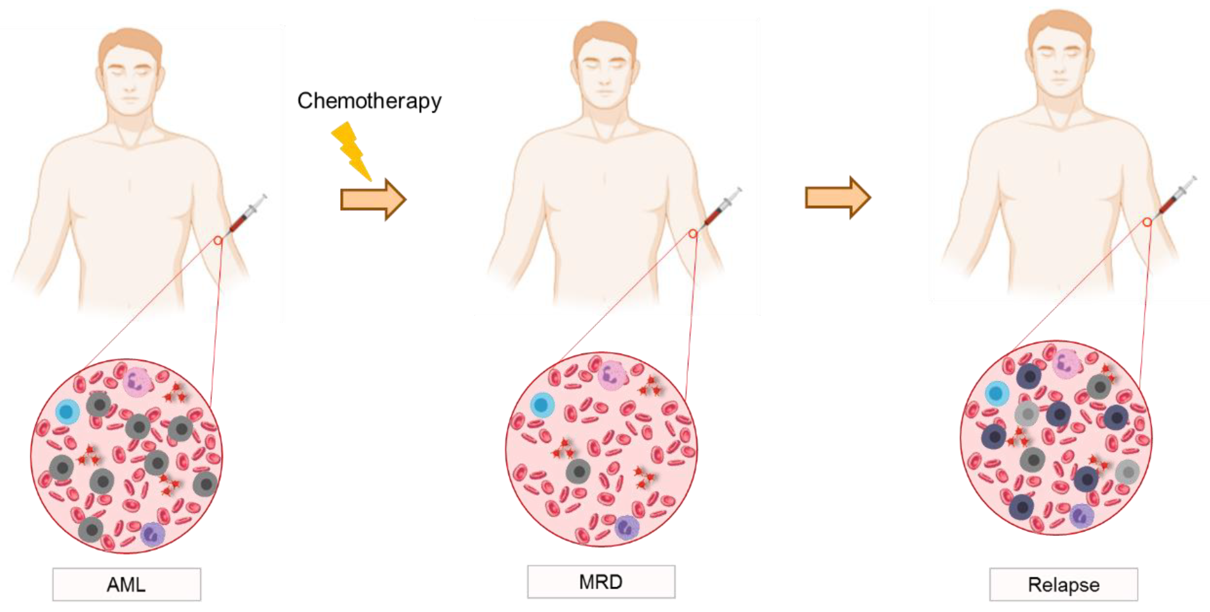 Cancers 15 01362 g002 Cancers 15 01362 g002