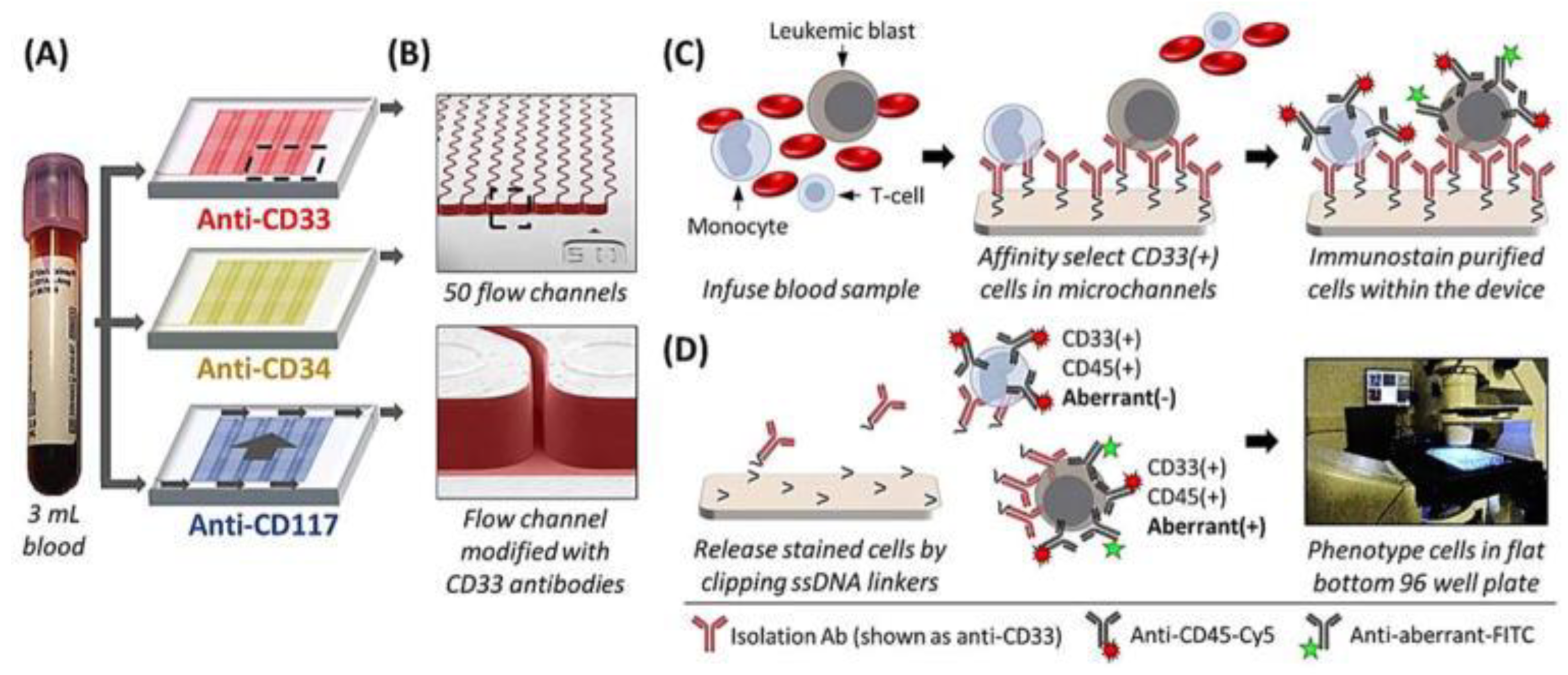 Cancers 15 01362 g003 Cancers 15 01362 g003