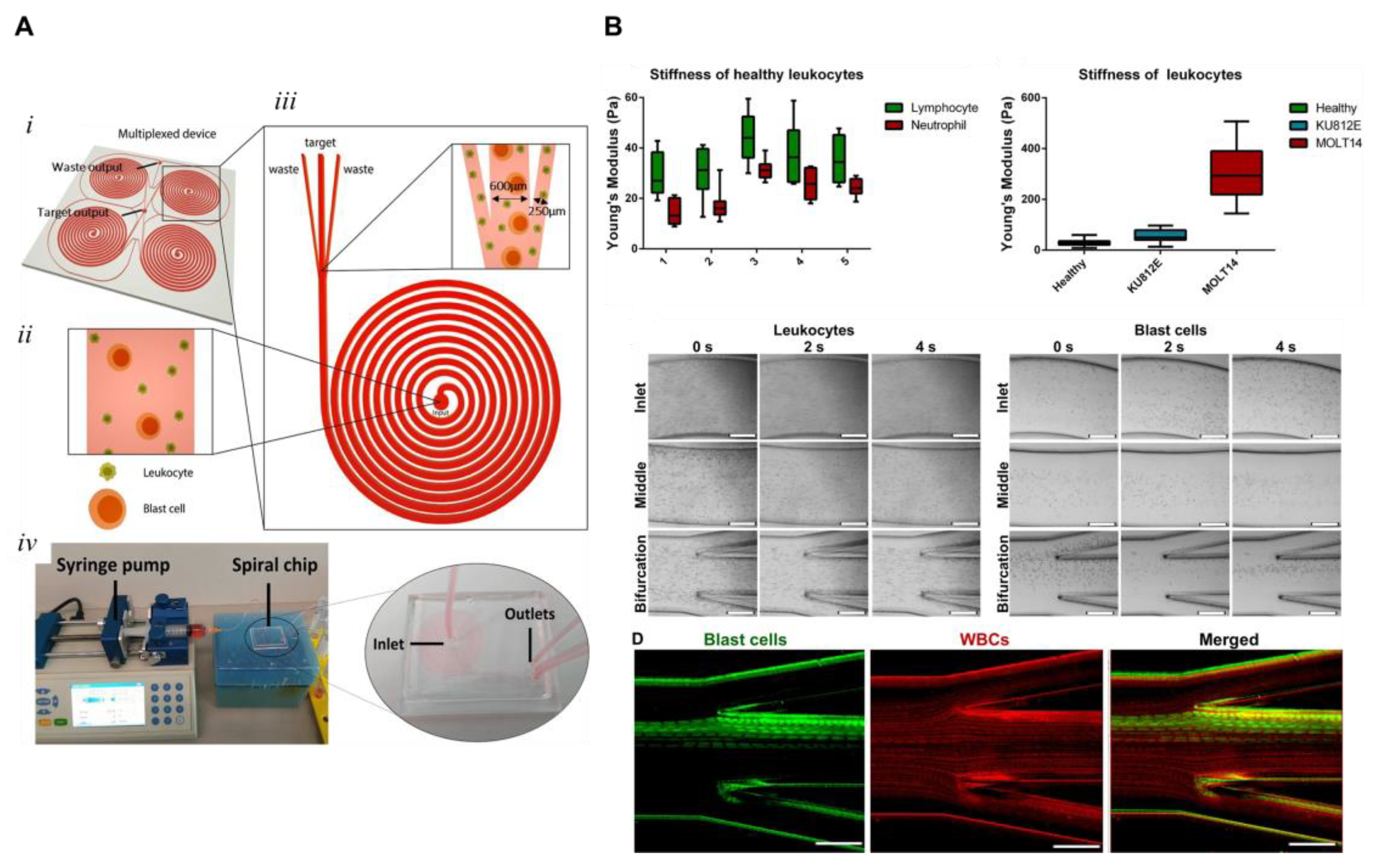 Cancers 15 01362 g004 Cancers 15 01362 g004