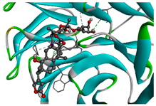 Cancers 15 01369 i004 Cancers 15 01369 i004