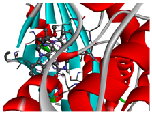 Cancers 15 01369 i006 Cancers 15 01369 i006