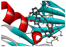 Cancers 15 01369 i008 Cancers 15 01369 i008