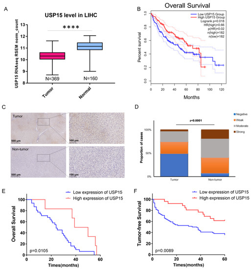 Cancers 15 01371 g001