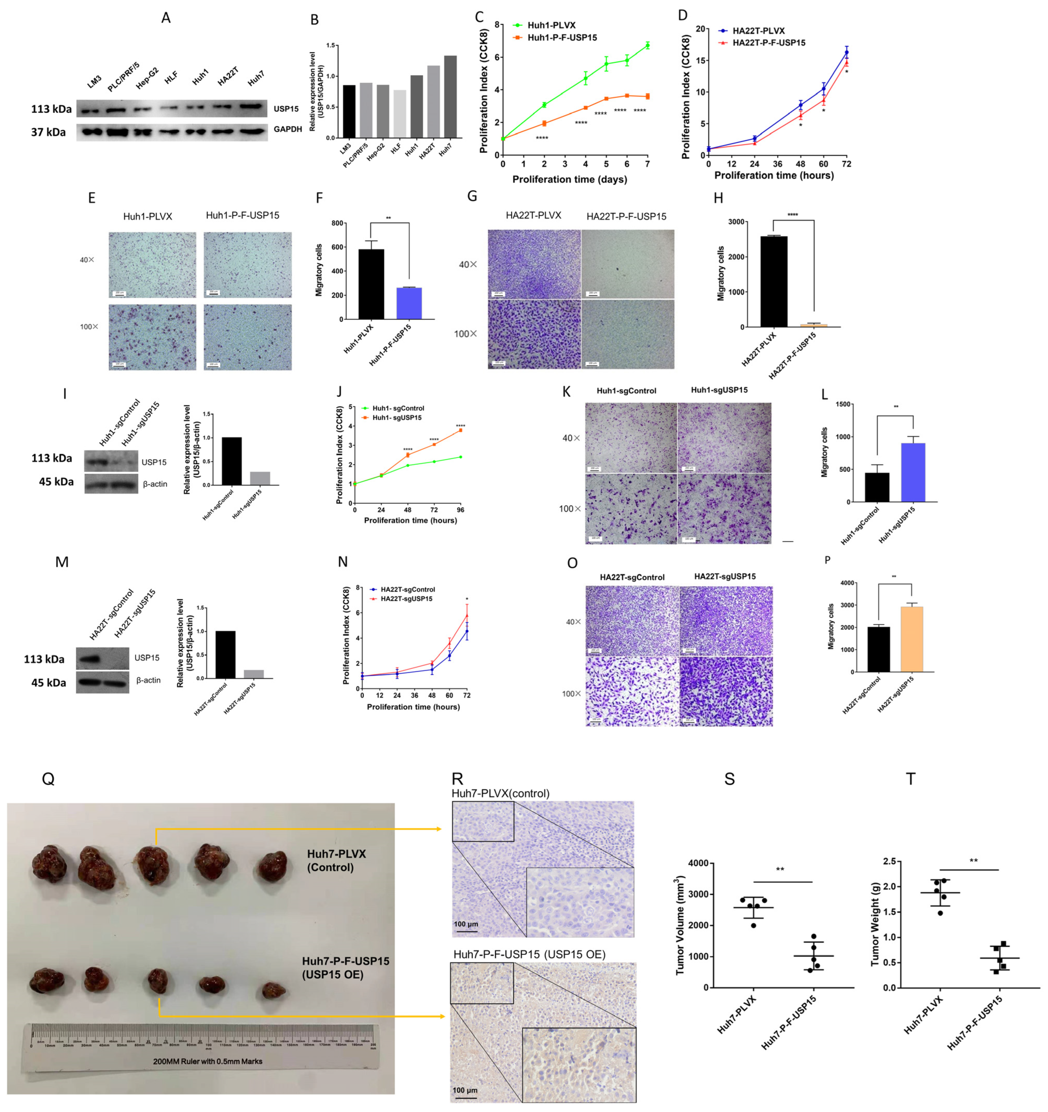 Cancers 15 01371 g002