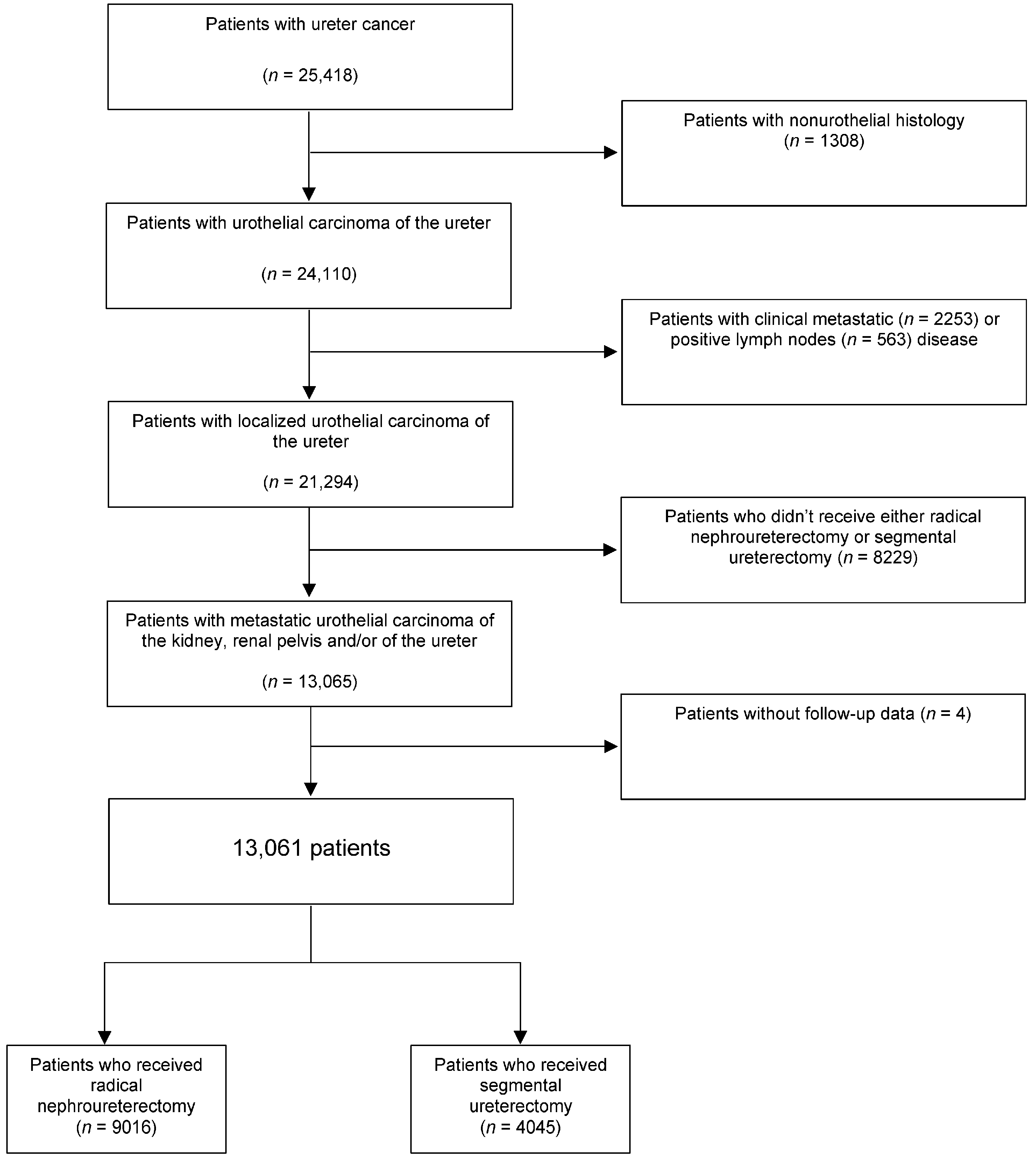 Cancers 15 01373 g001