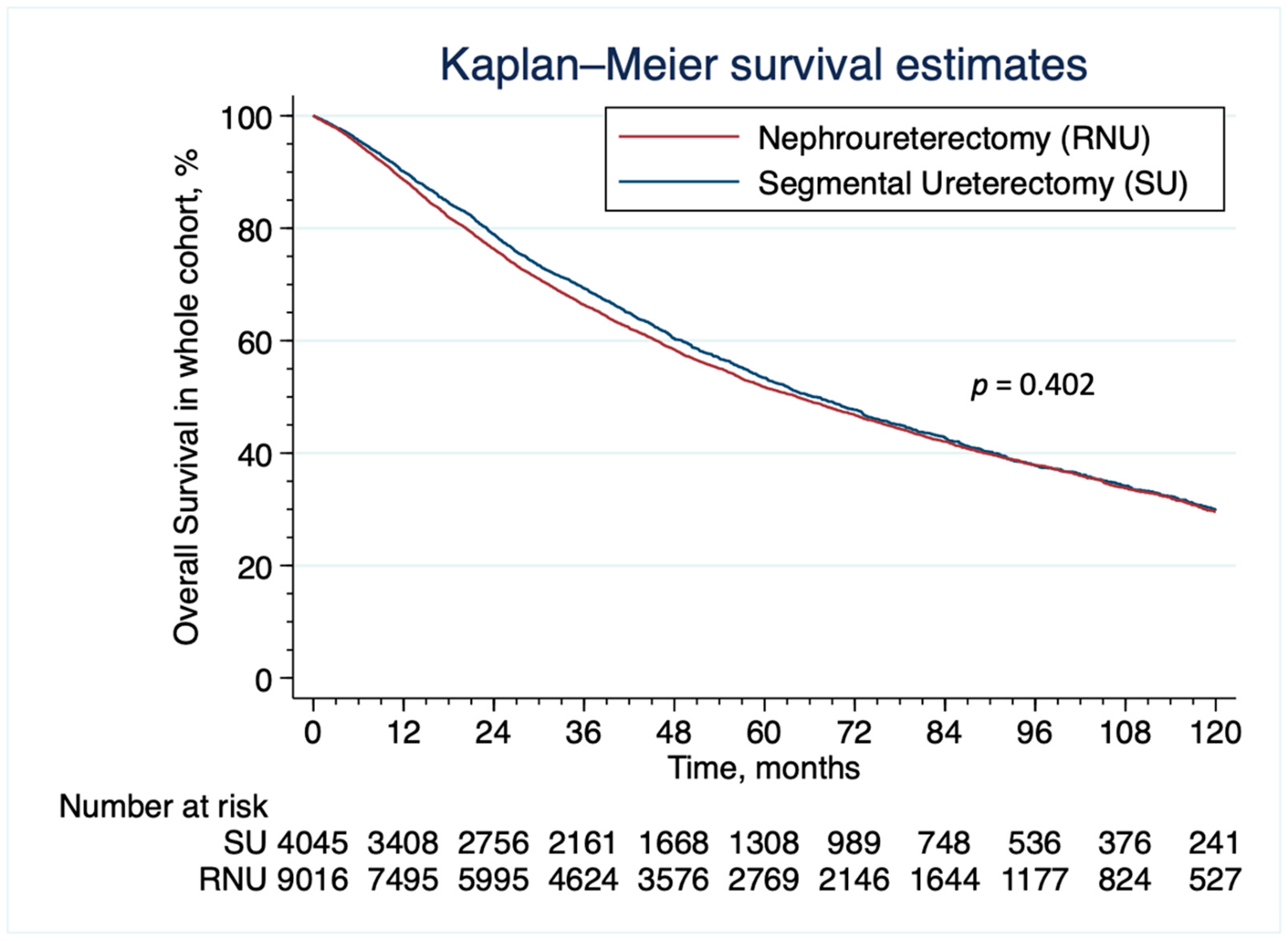 Cancers 15 01373 g002